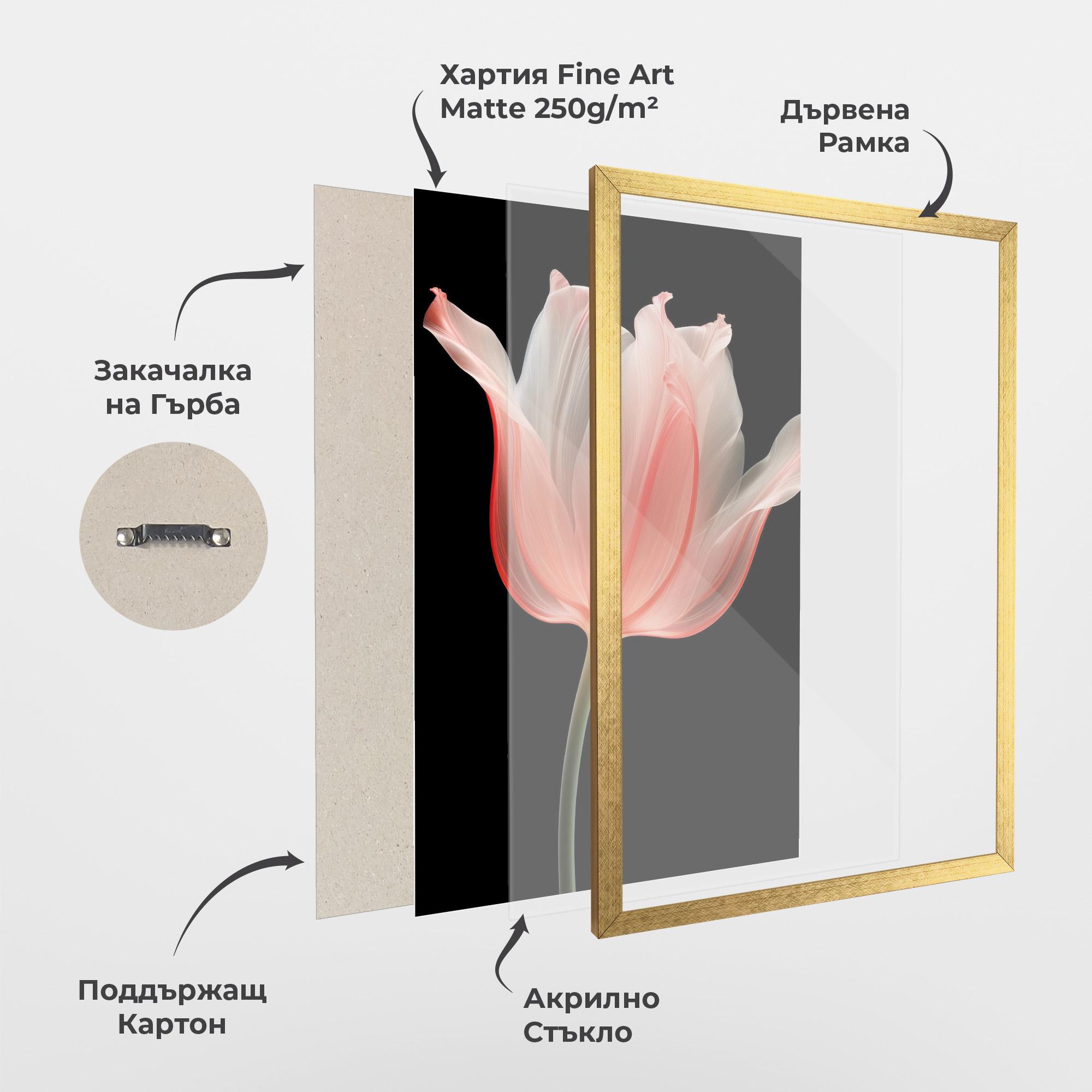 Рамкиран постер Pastel Pink Tulip mockup 1