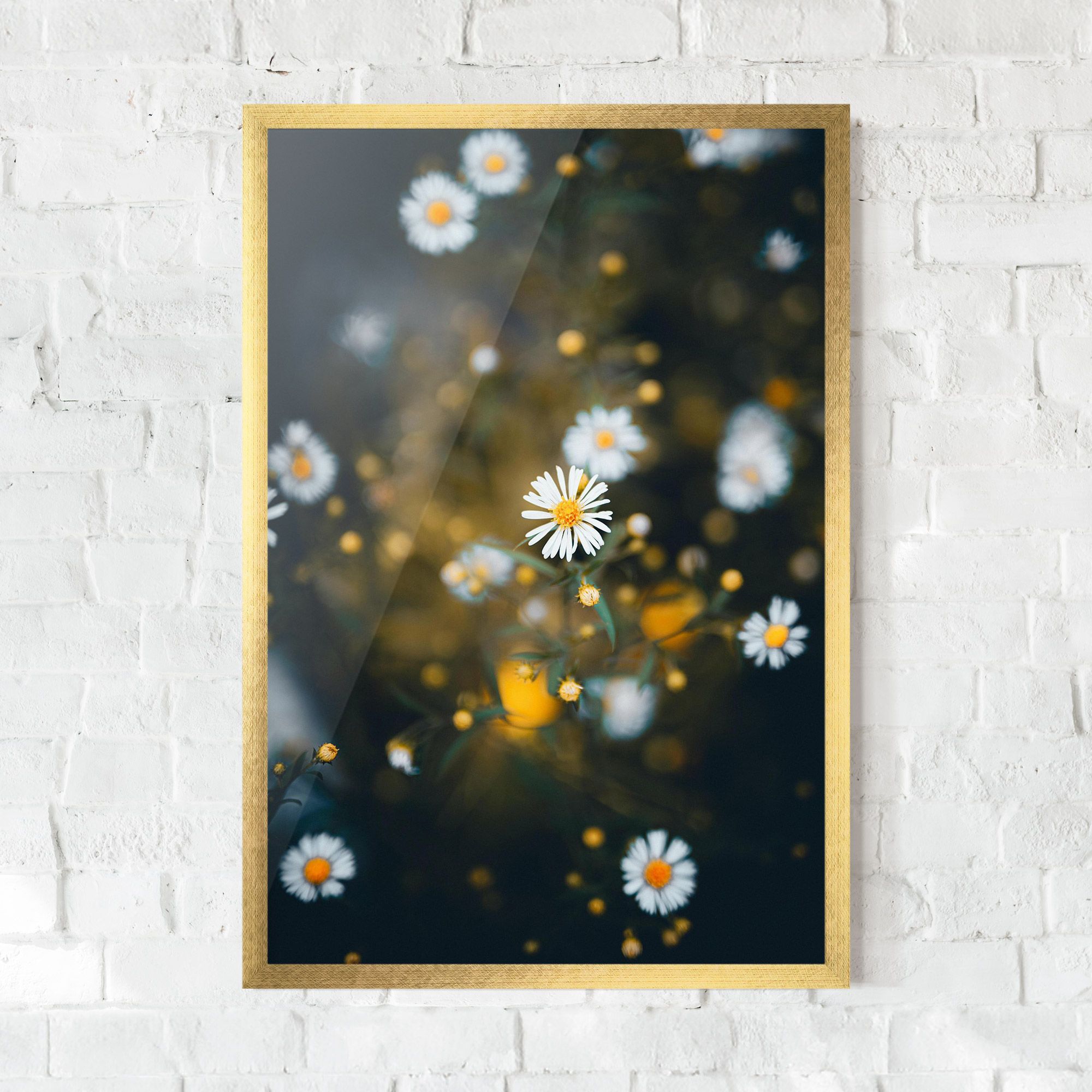 Small Daisy View mockup 0