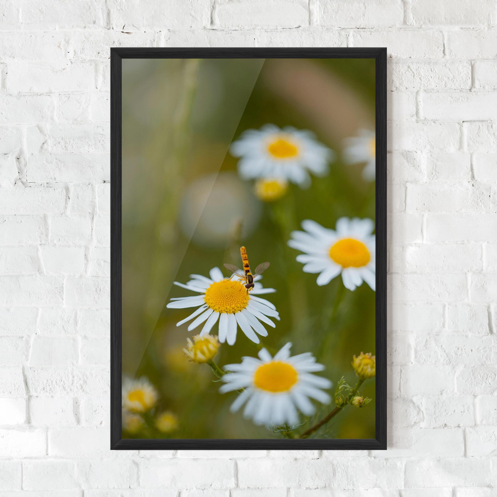 Рамкиран постер Bug On Small Daisy mockup 0