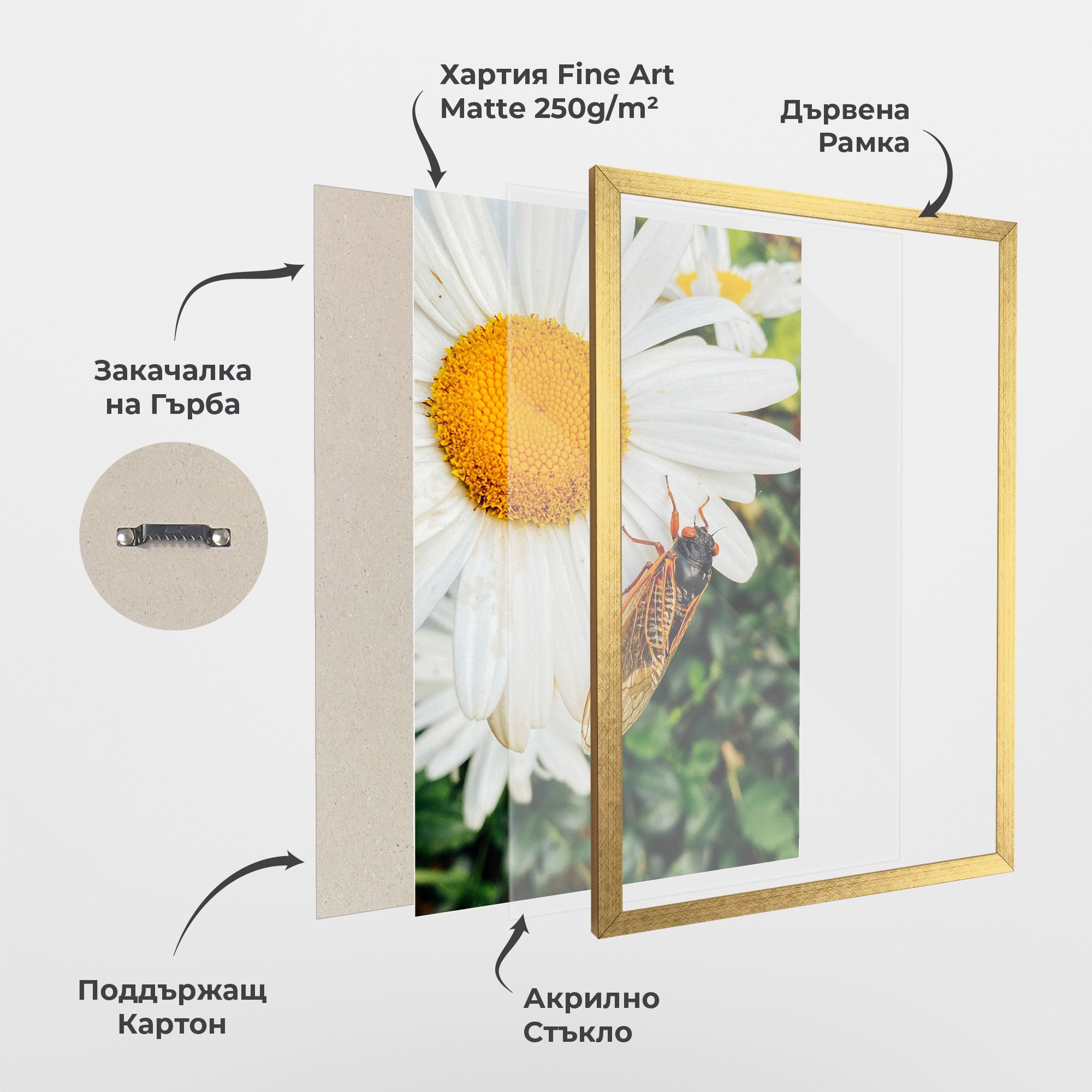 Bug On The Daisy mockup 1