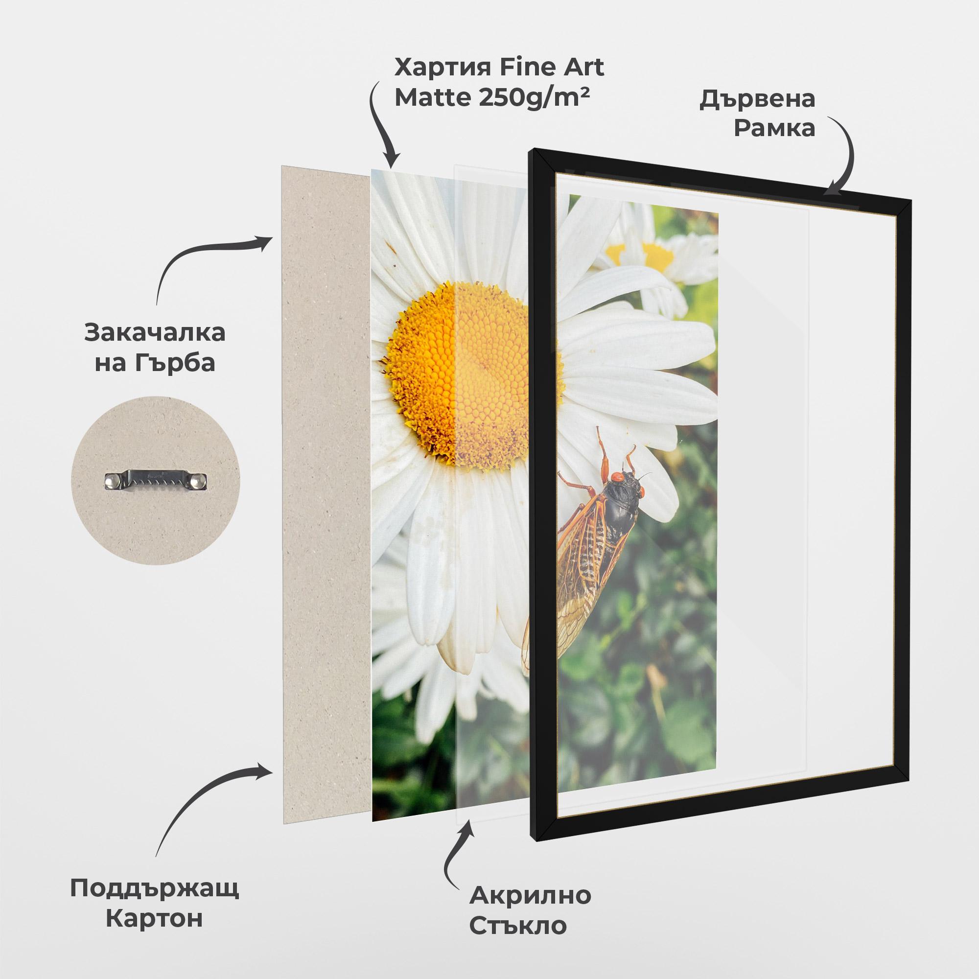 Рамкиран постер Bug On The Daisy mockup 1