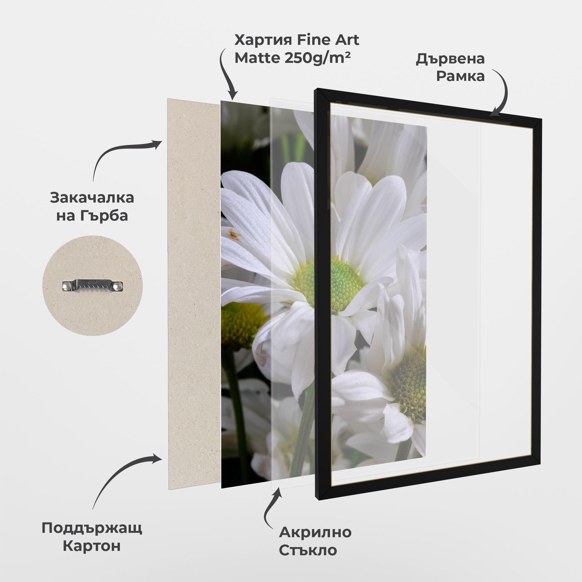 Рамкиран постер Green Middle Daisy View mockup 1