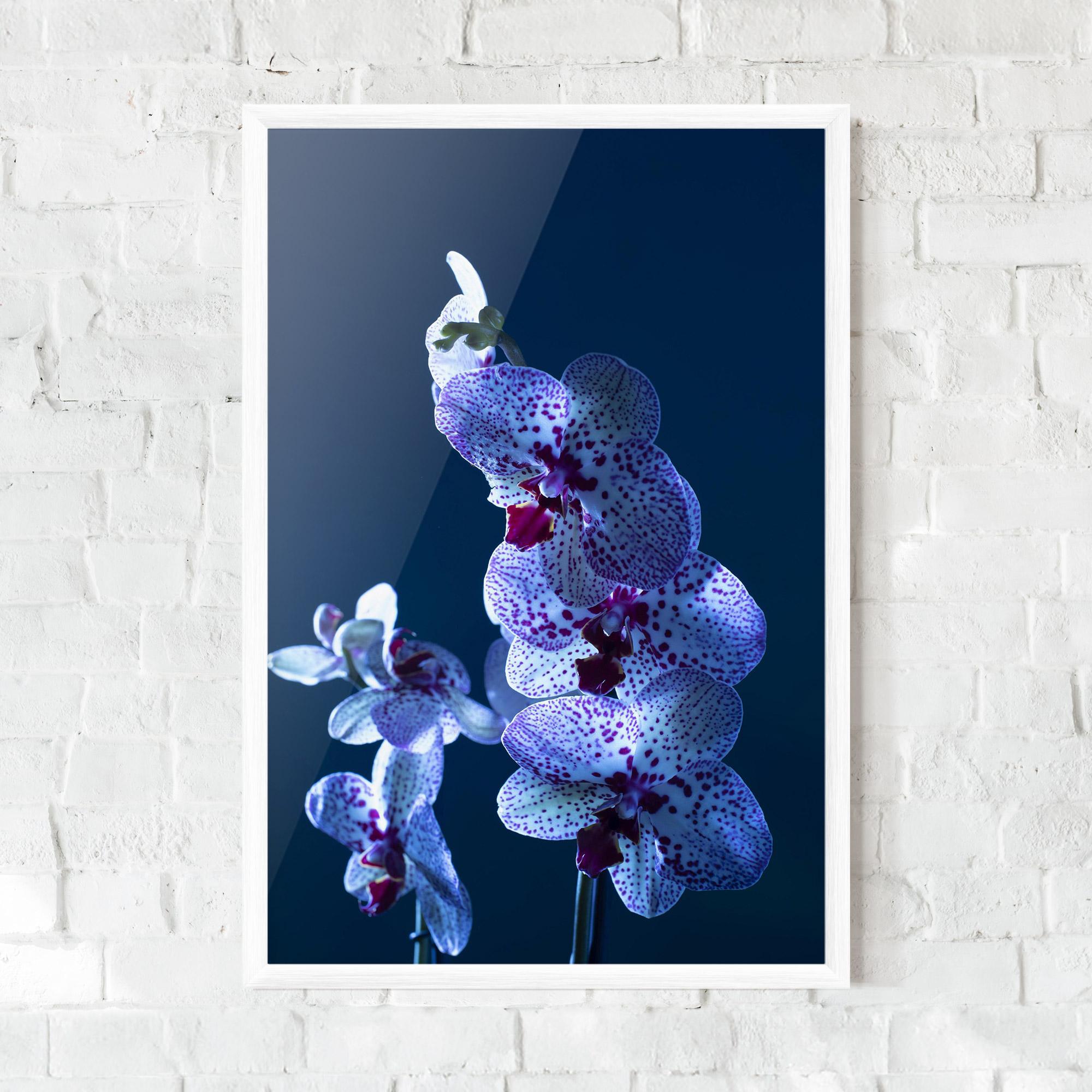 Рамкиран постер Blue Light Orchid mockup 0
