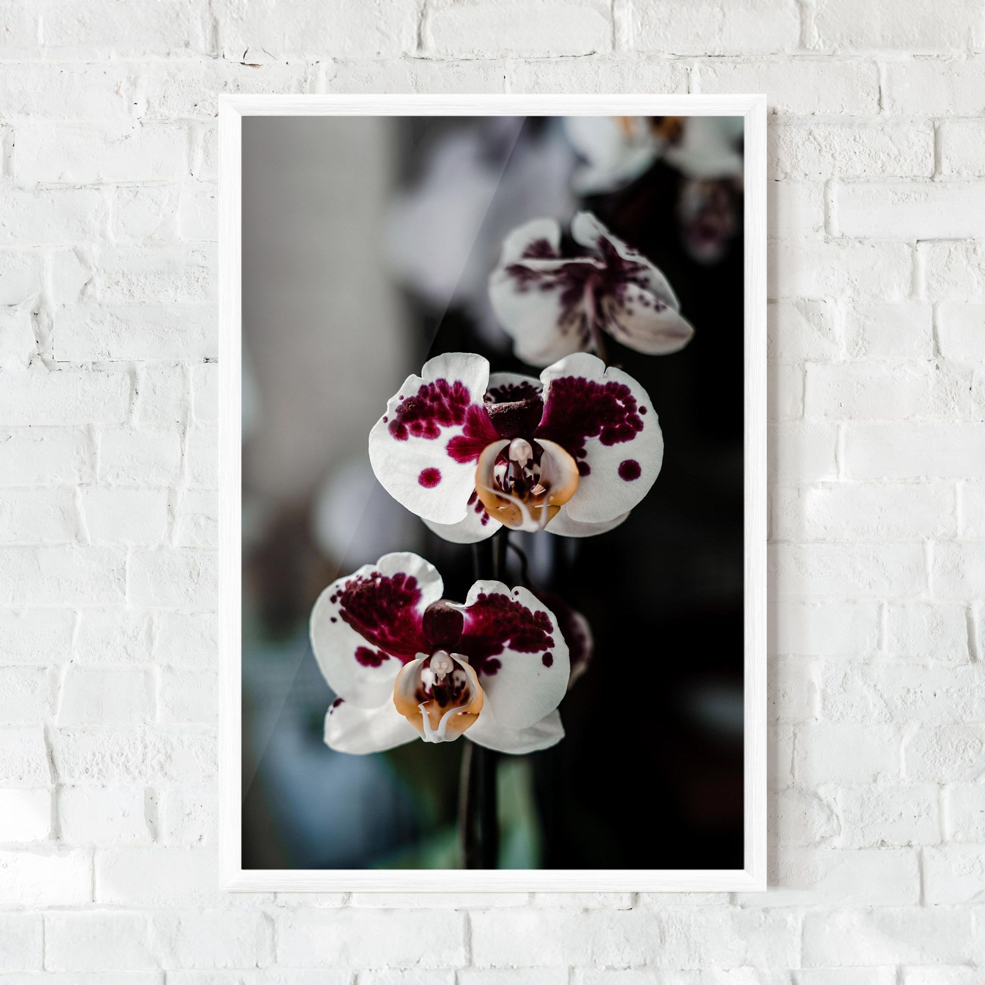 Dark Purple Orchid mockup 0