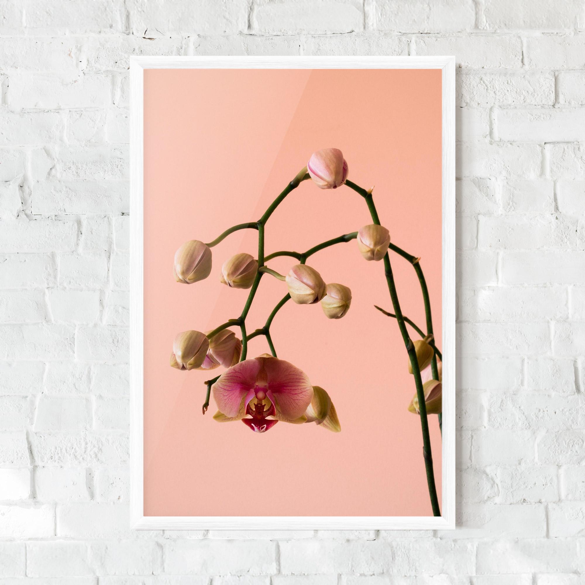Рамкиран постер Orchids On Pink mockup 0