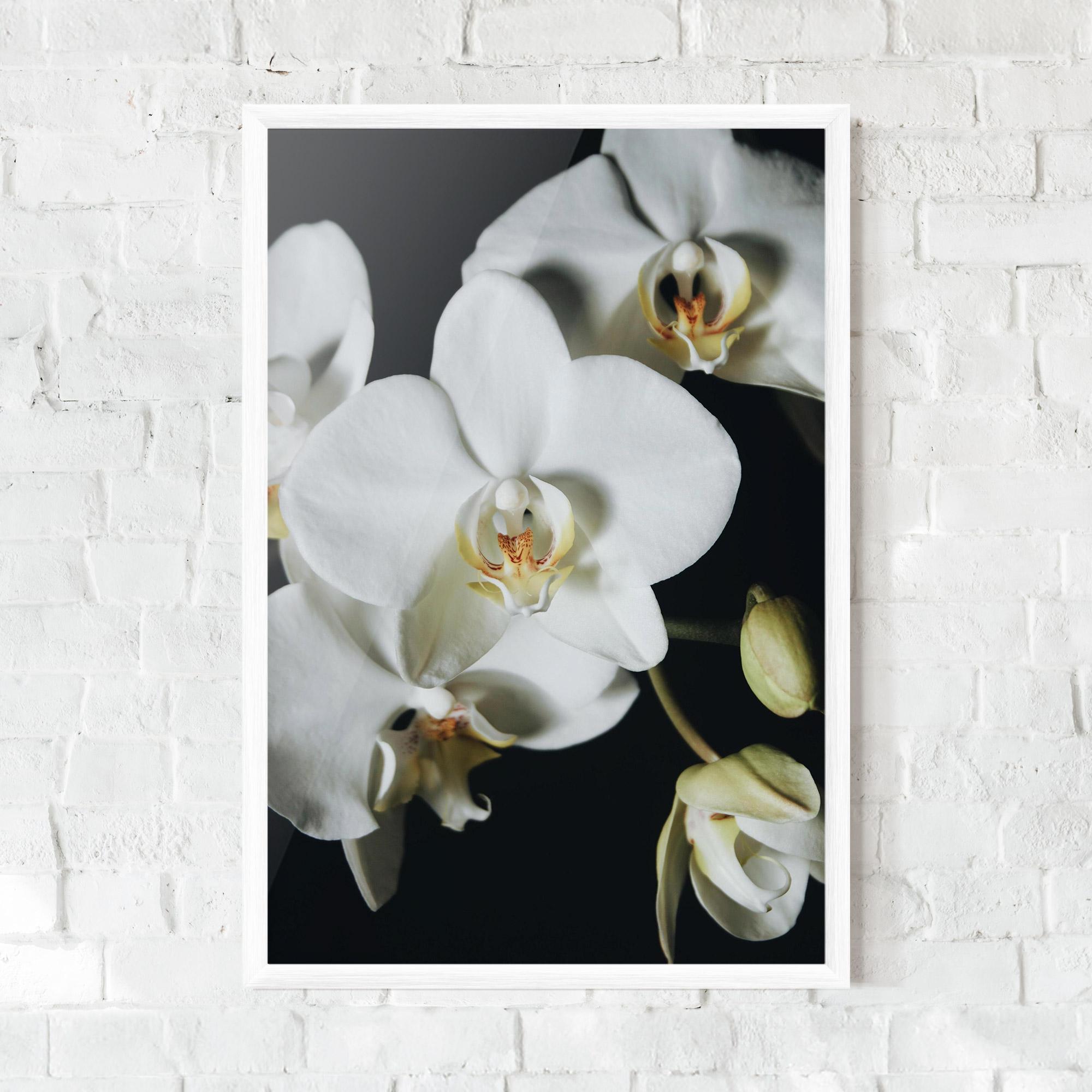 Рамкиран постер White Orchid On Black mockup 0