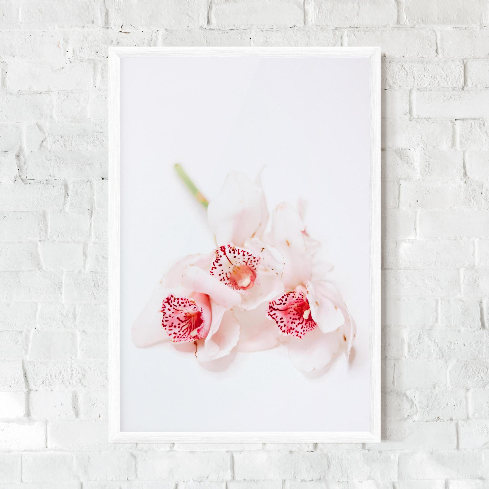 Рамкиран постер White Orchid With Pink mockup 0