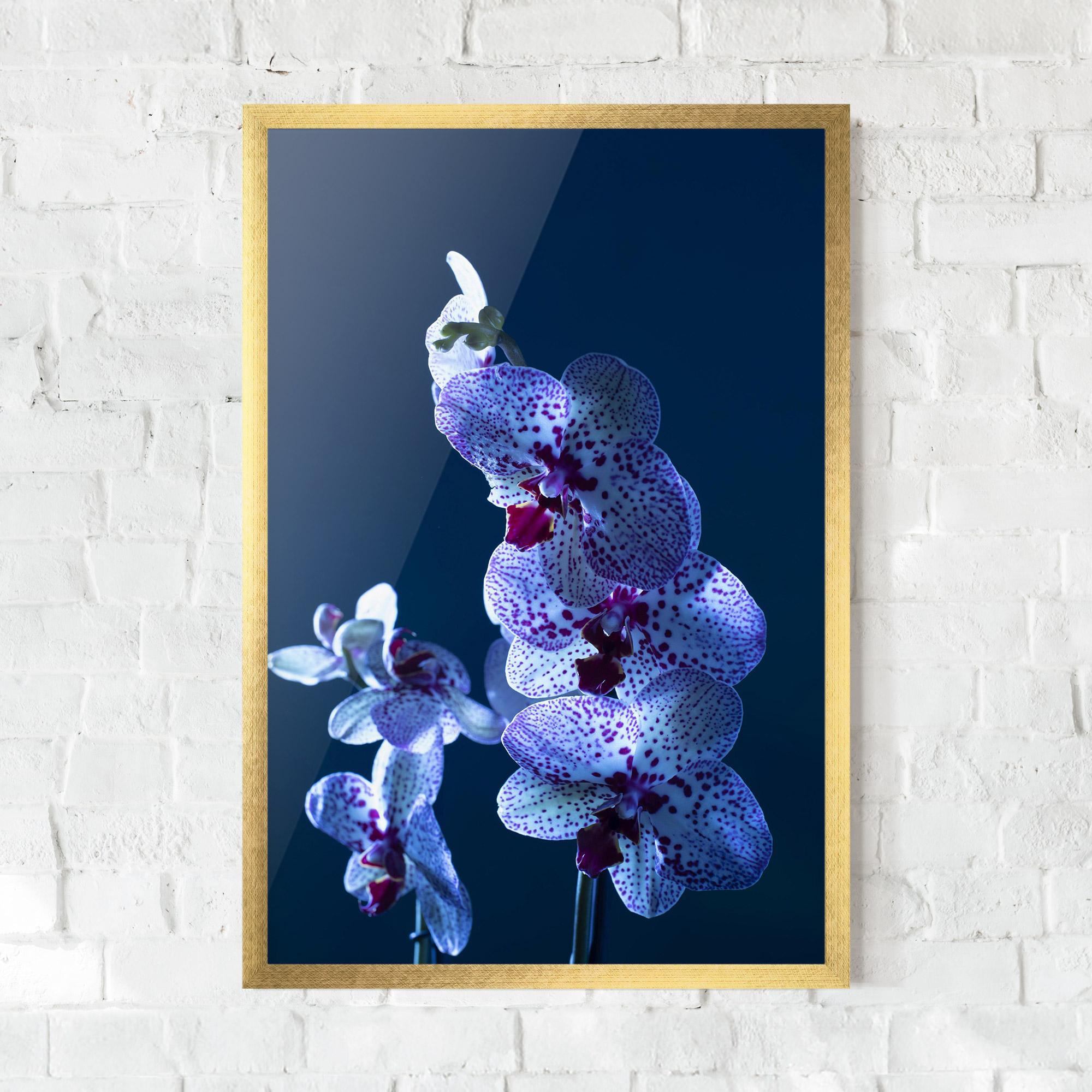 Рамкиран постер Blue Light Orchid mockup 0