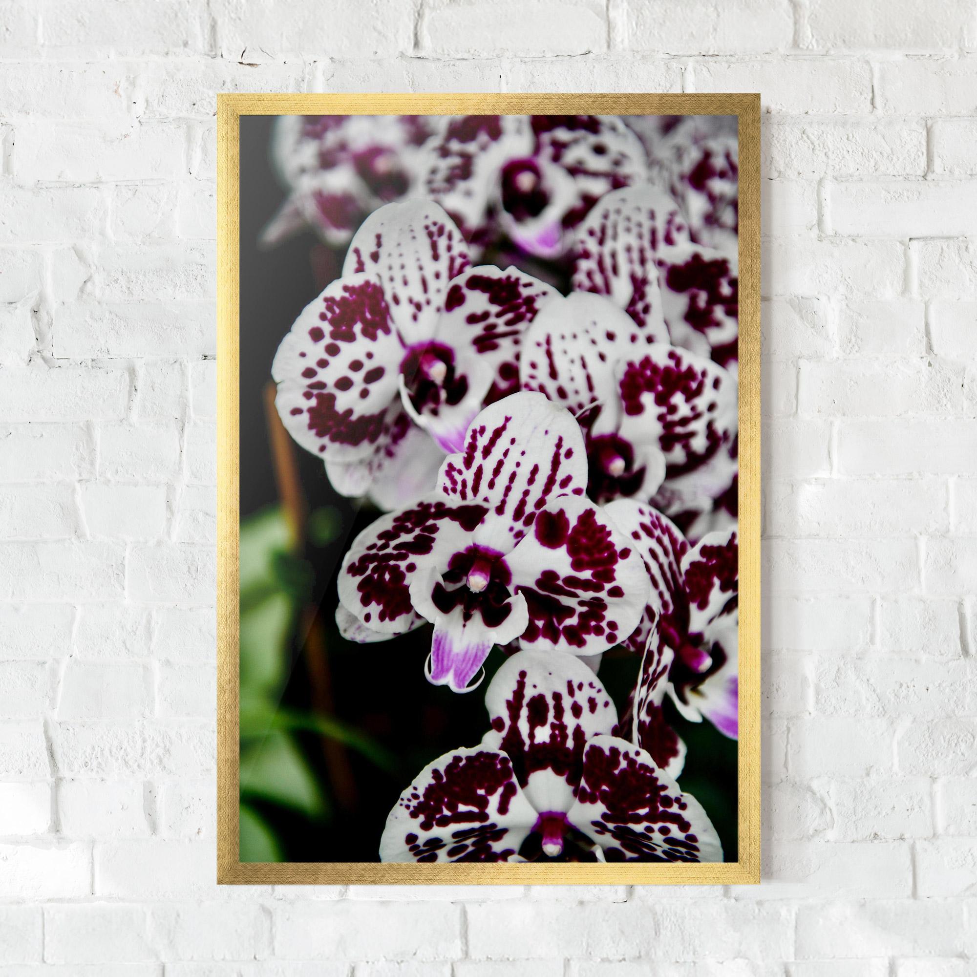 Рамкиран постер Dark Purple Orchids mockup 0