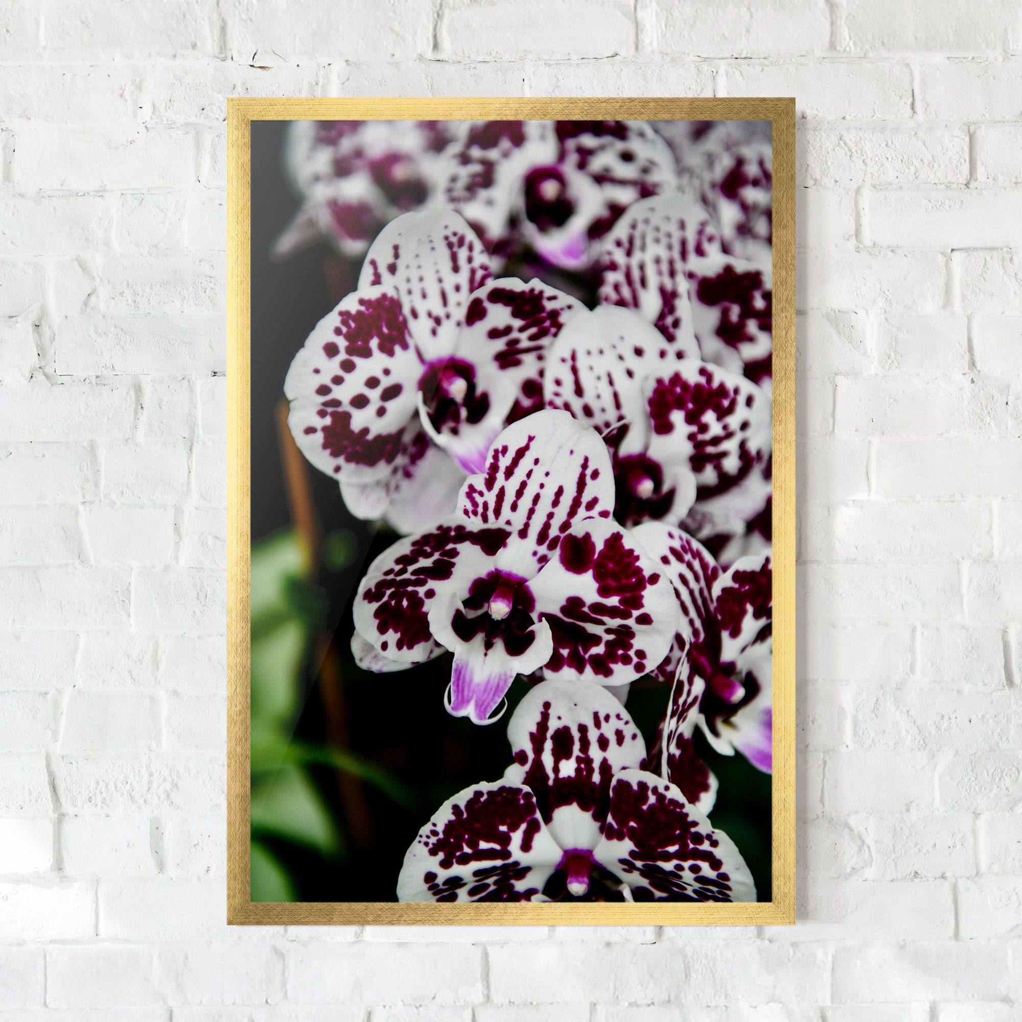 Dark Purple Orchids mockup 0