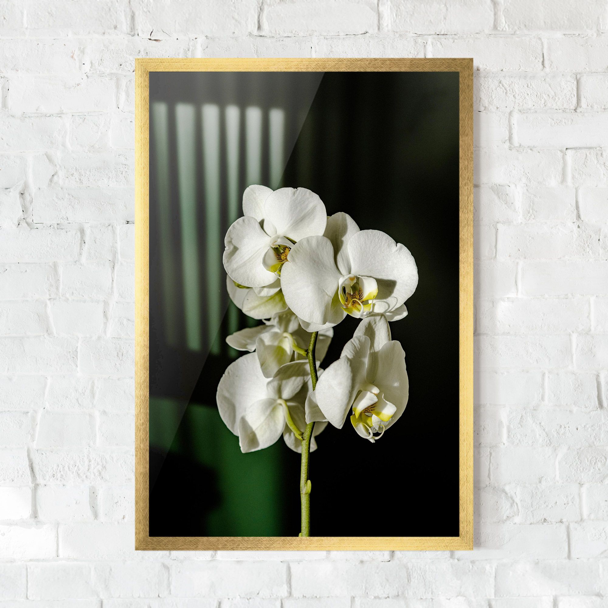Orchid On Green mockup 0