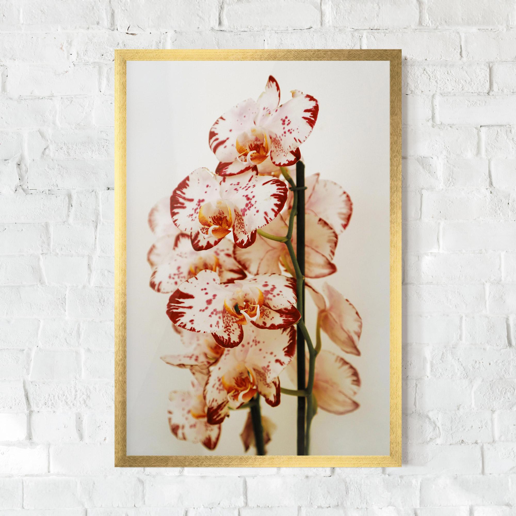 Рамкиран постер Red White Orchids mockup 0