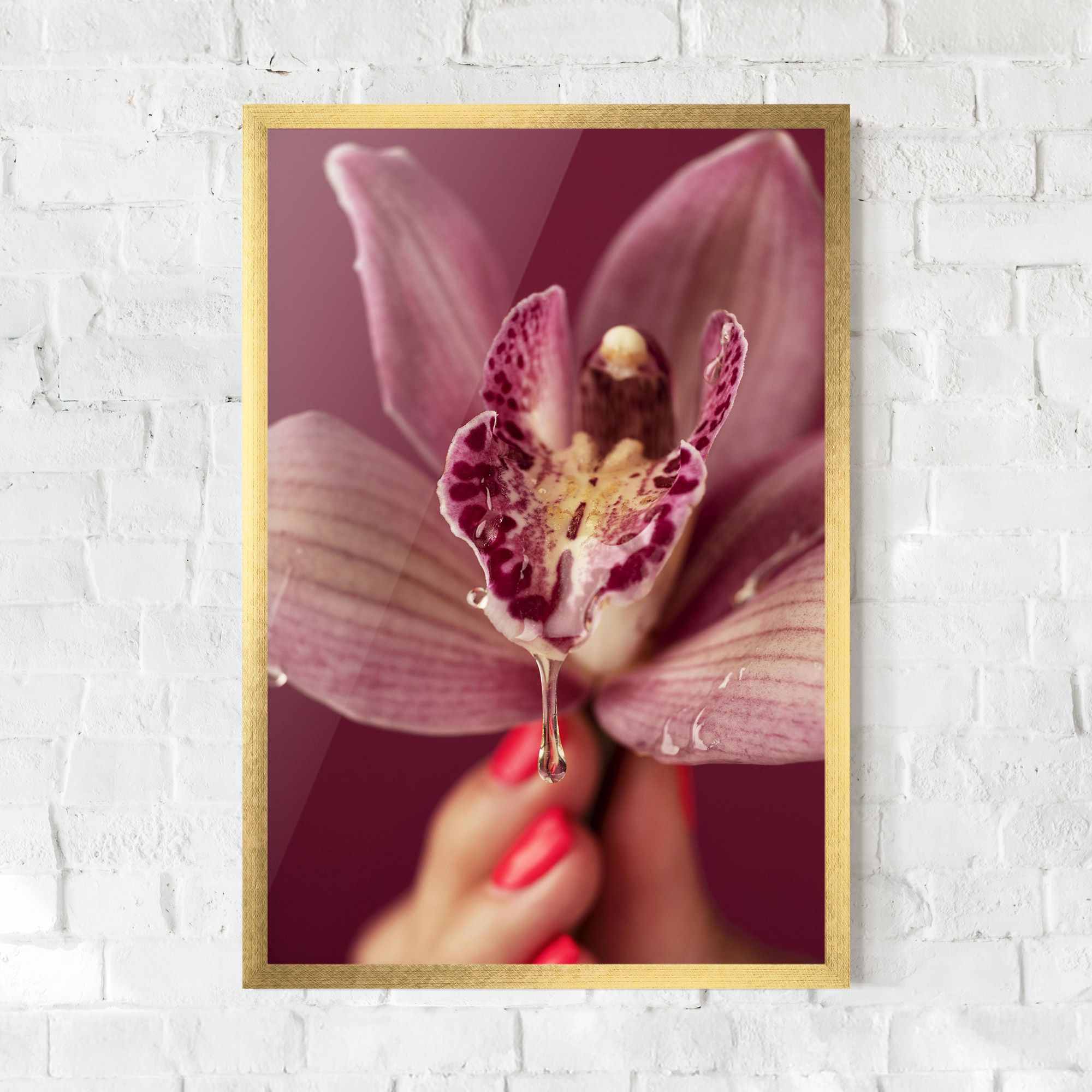 Wet Orchid mockup 0