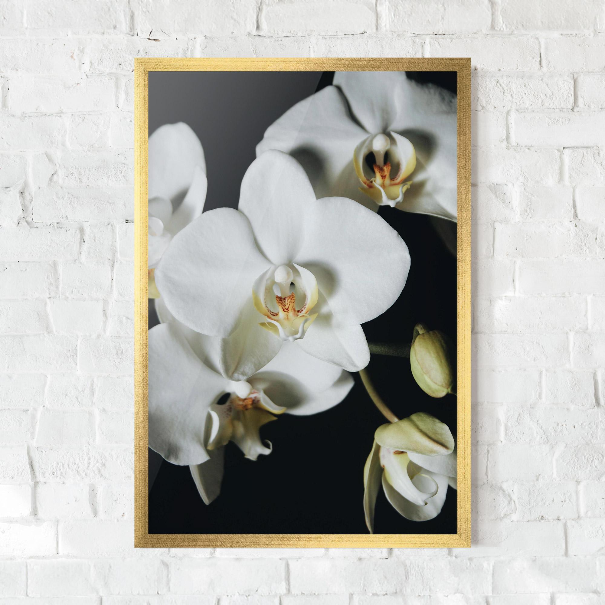 Рамкиран постер White Orchid On Black mockup 0