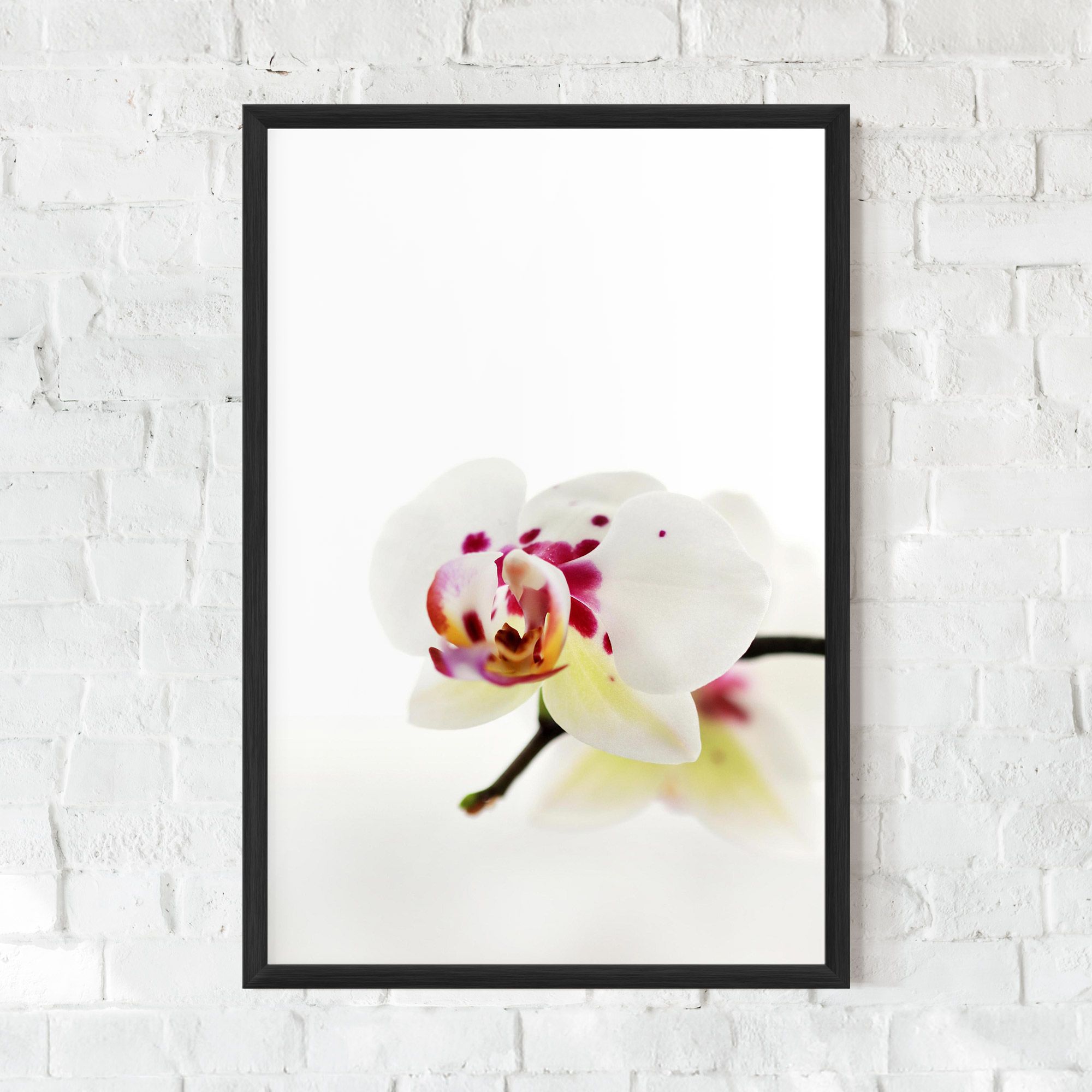 Clean White Orchid mockup 0