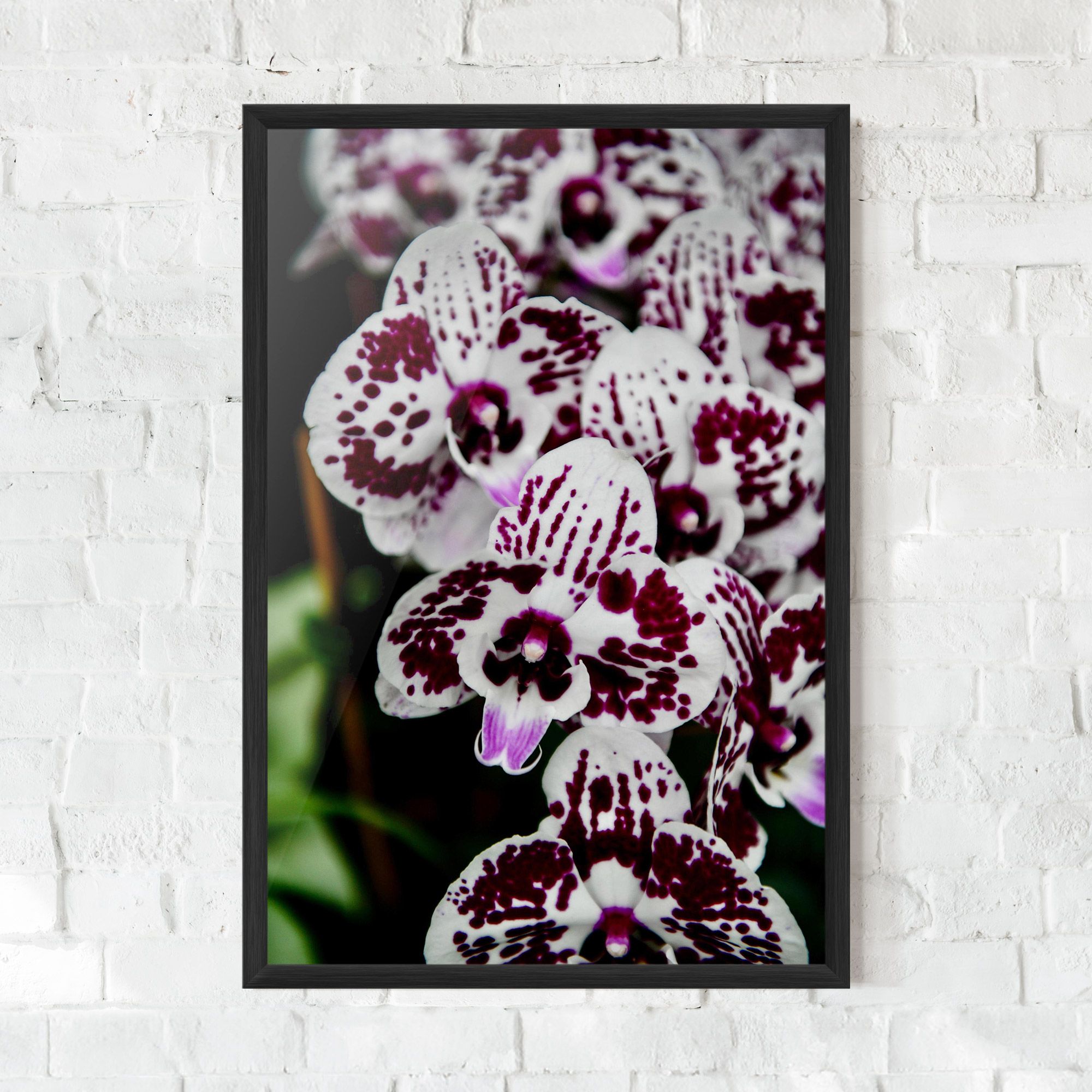 Dark Purple Orchids mockup 0