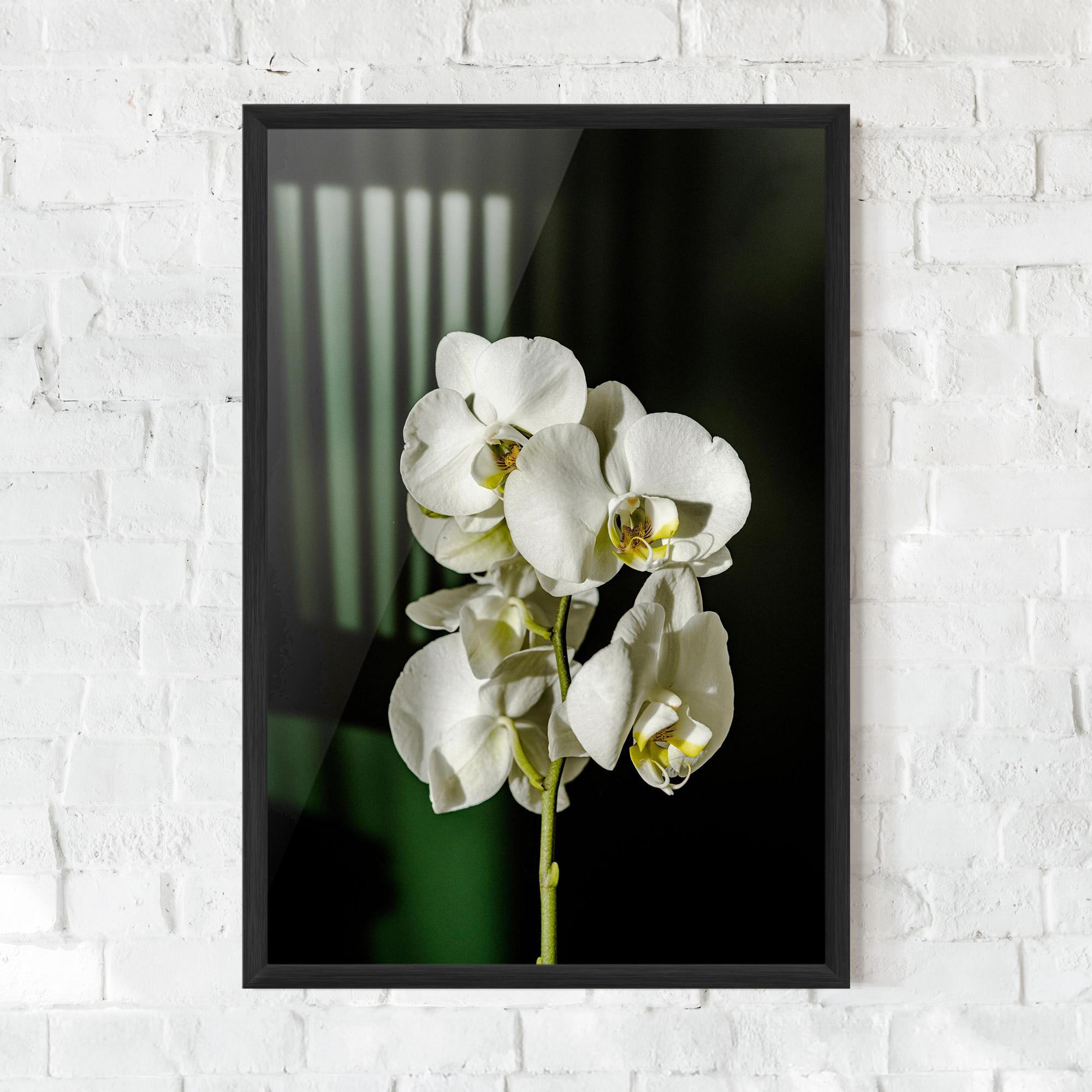 Рамкиран постер Orchid On Green mockup 0