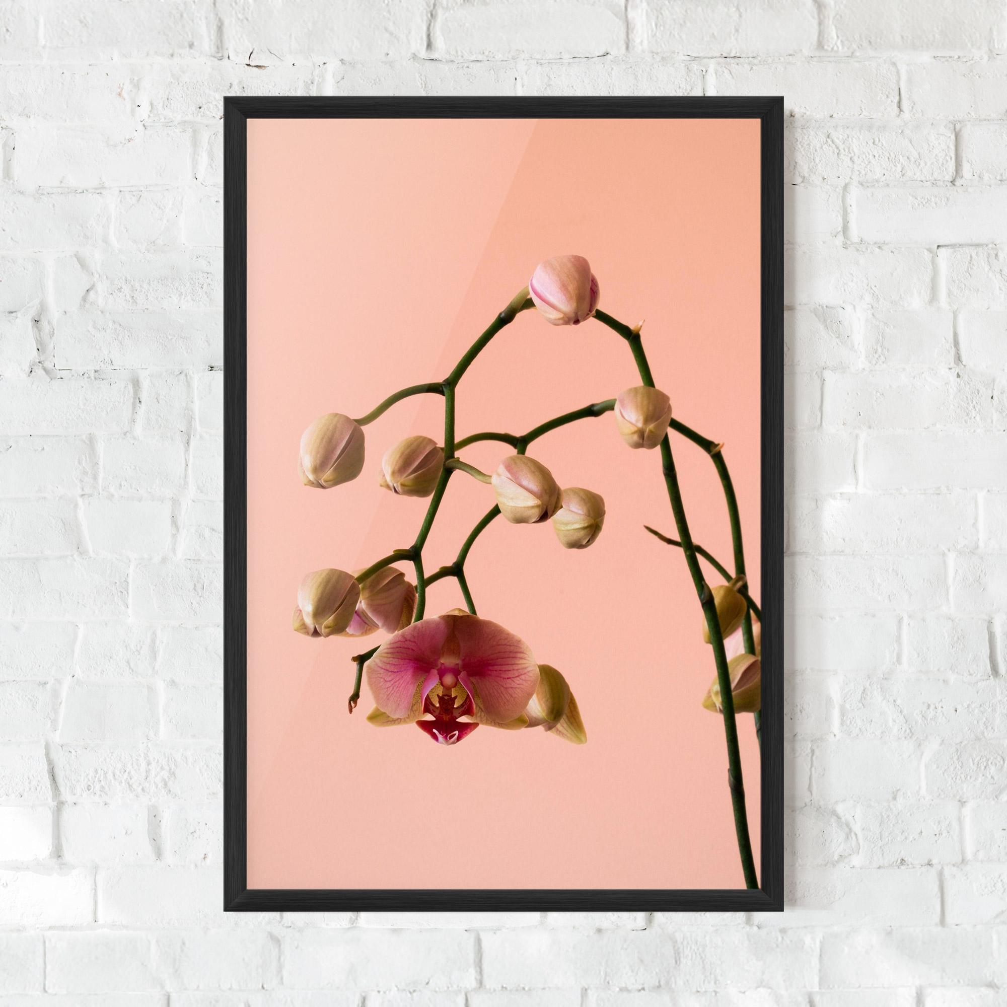 Рамкиран постер Orchids On Pink mockup 0