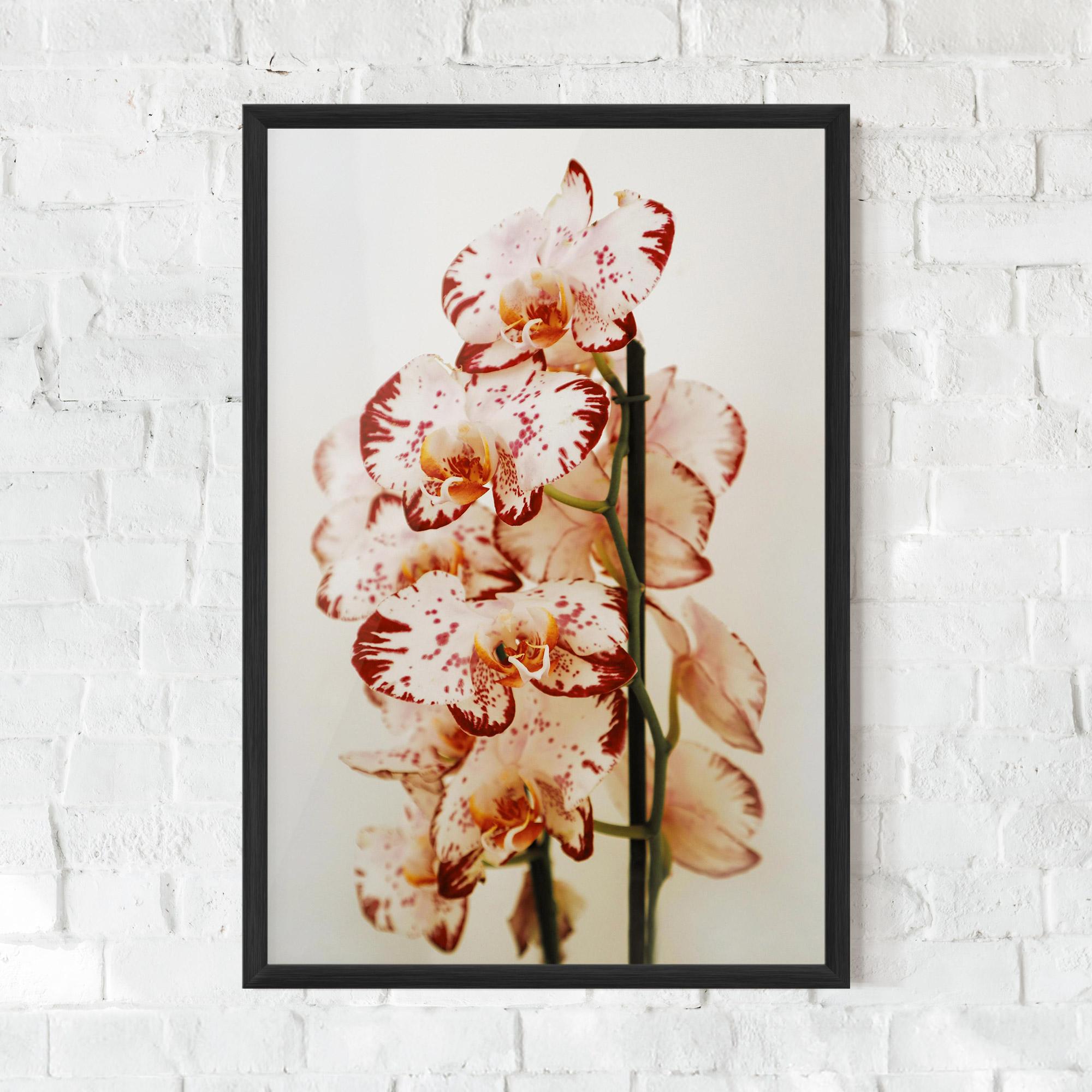 Рамкиран постер Red White Orchids mockup 0