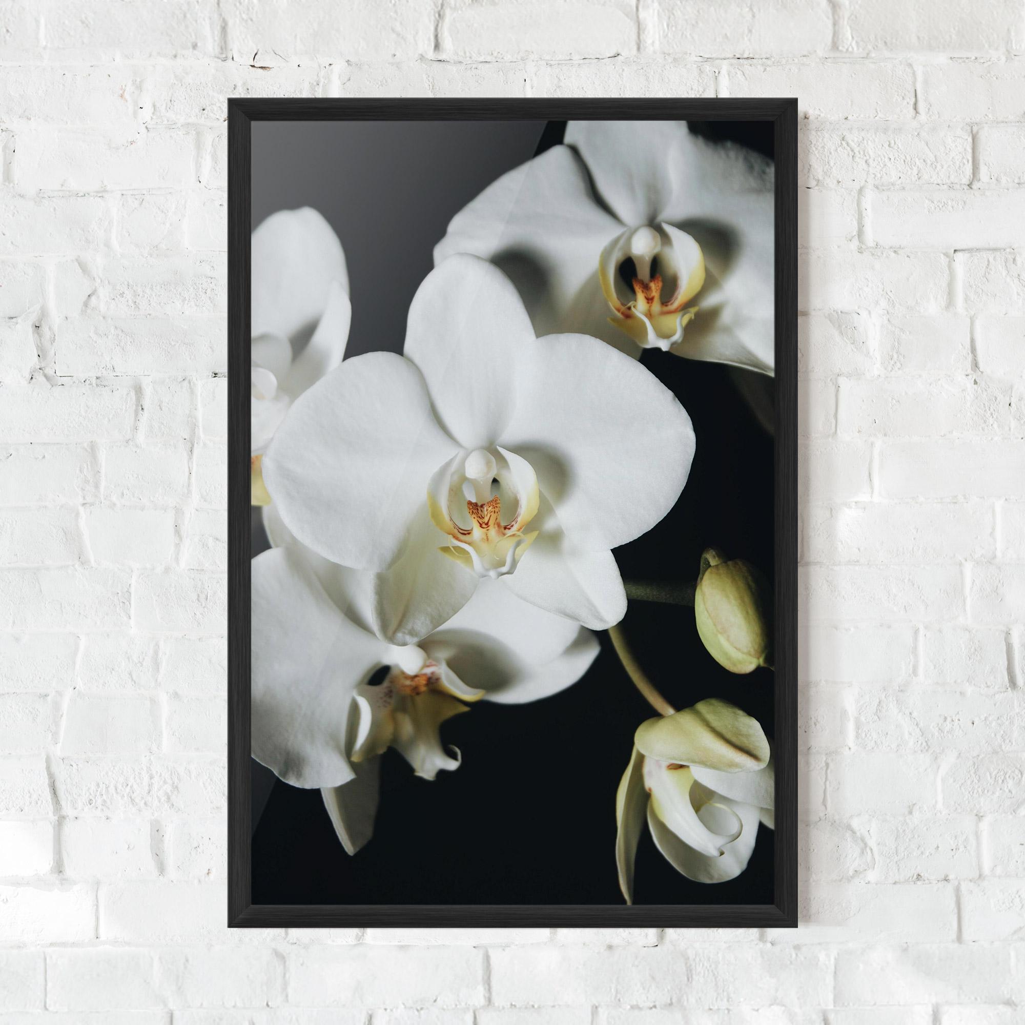 Рамкиран постер White Orchid On Black mockup 0