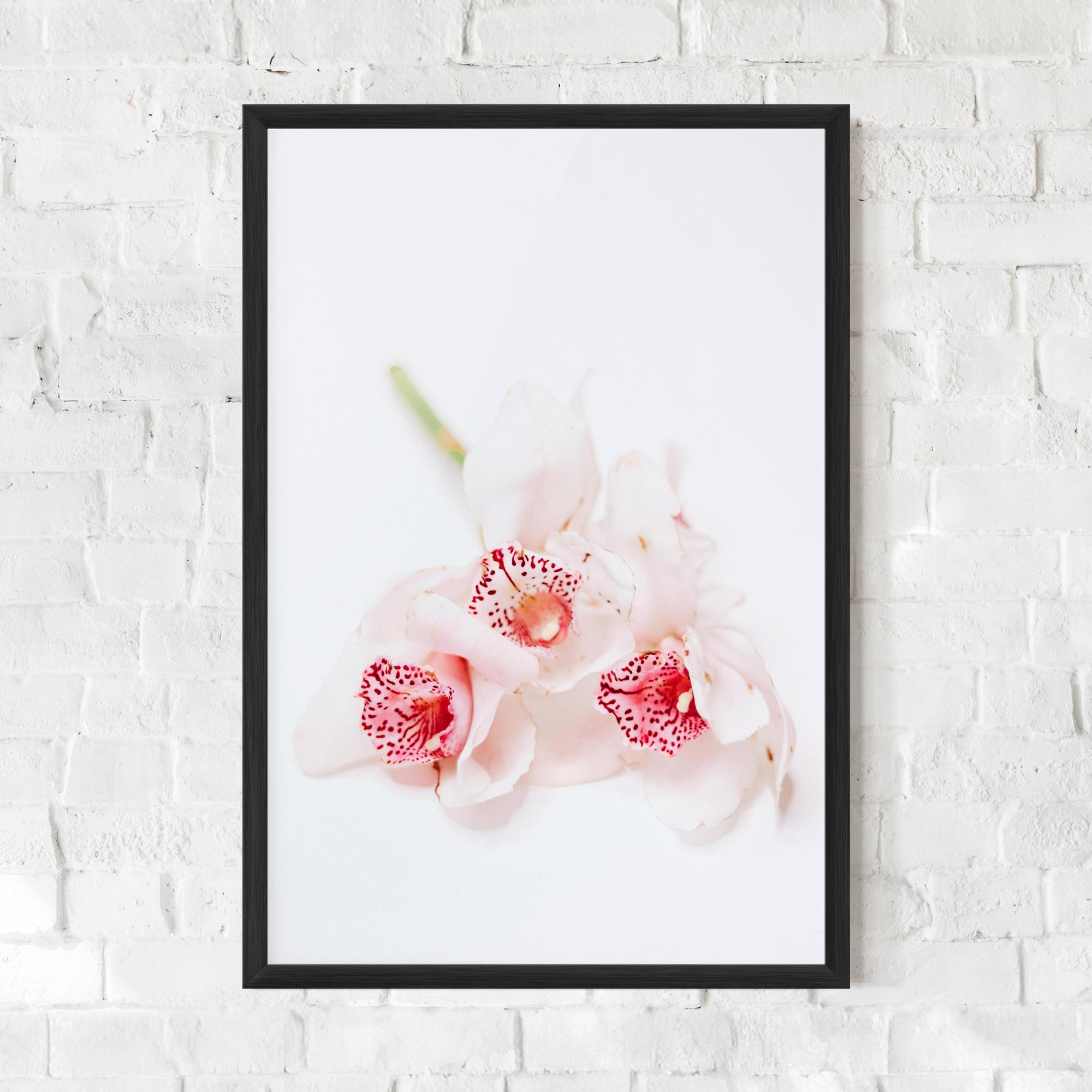 Рамкиран постер White Orchid With Pink mockup 0