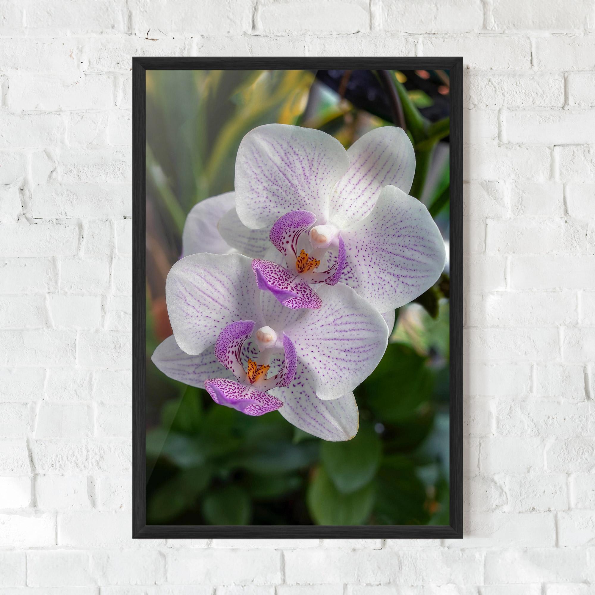 Рамкиран постер White Orchids mockup 0