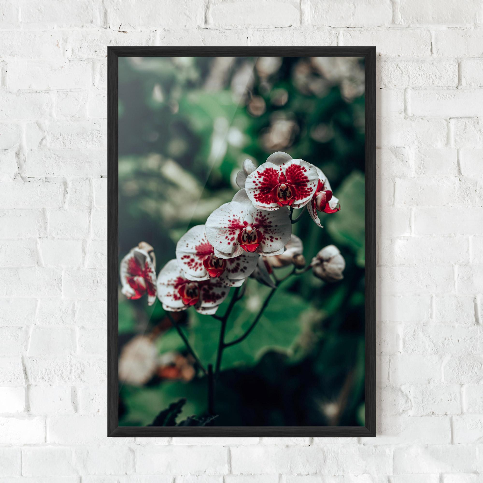 Рамкиран постер White Red Orchid mockup 0