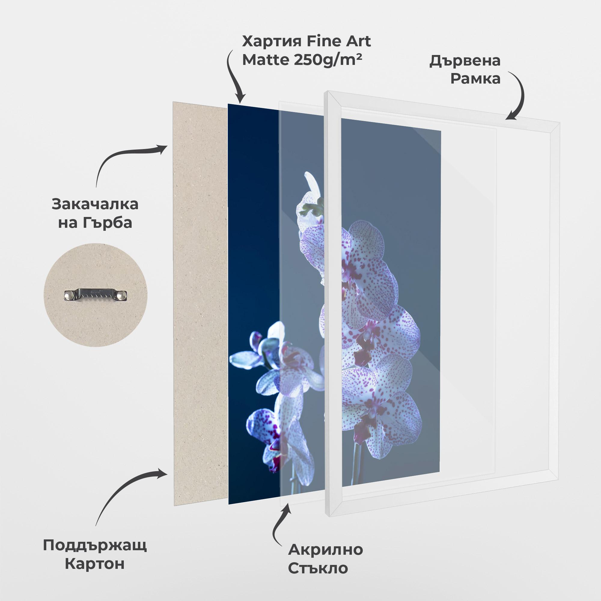 Рамкиран постер Blue Light Orchid mockup 1