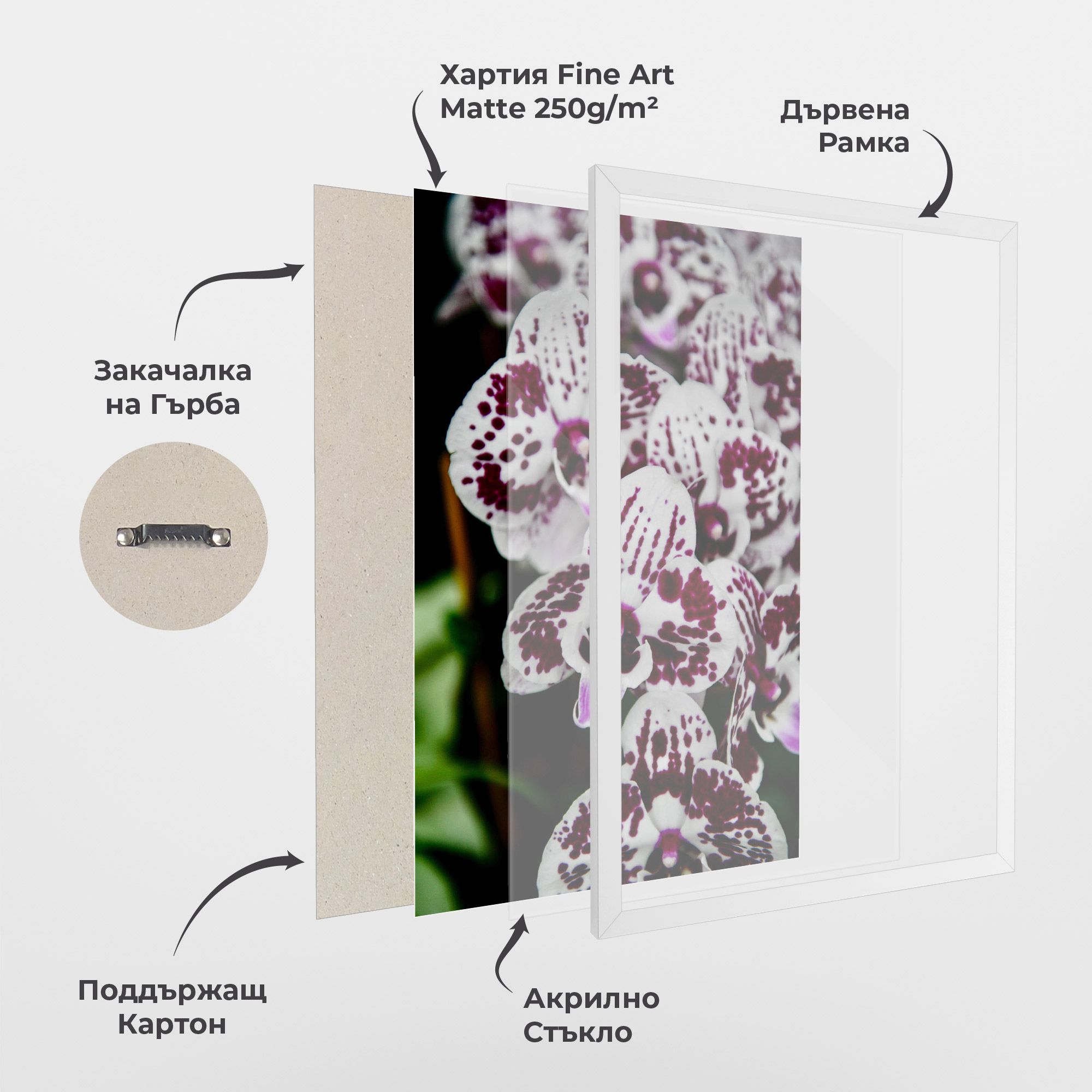 Dark Purple Orchids mockup 1