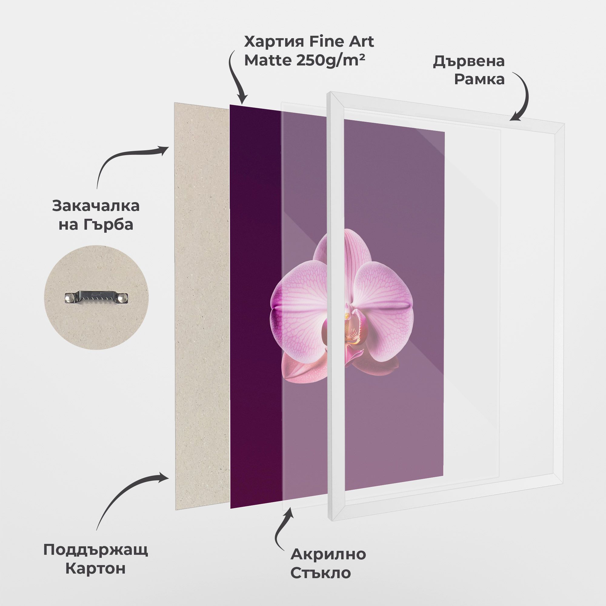 Purple Orchid mockup 1