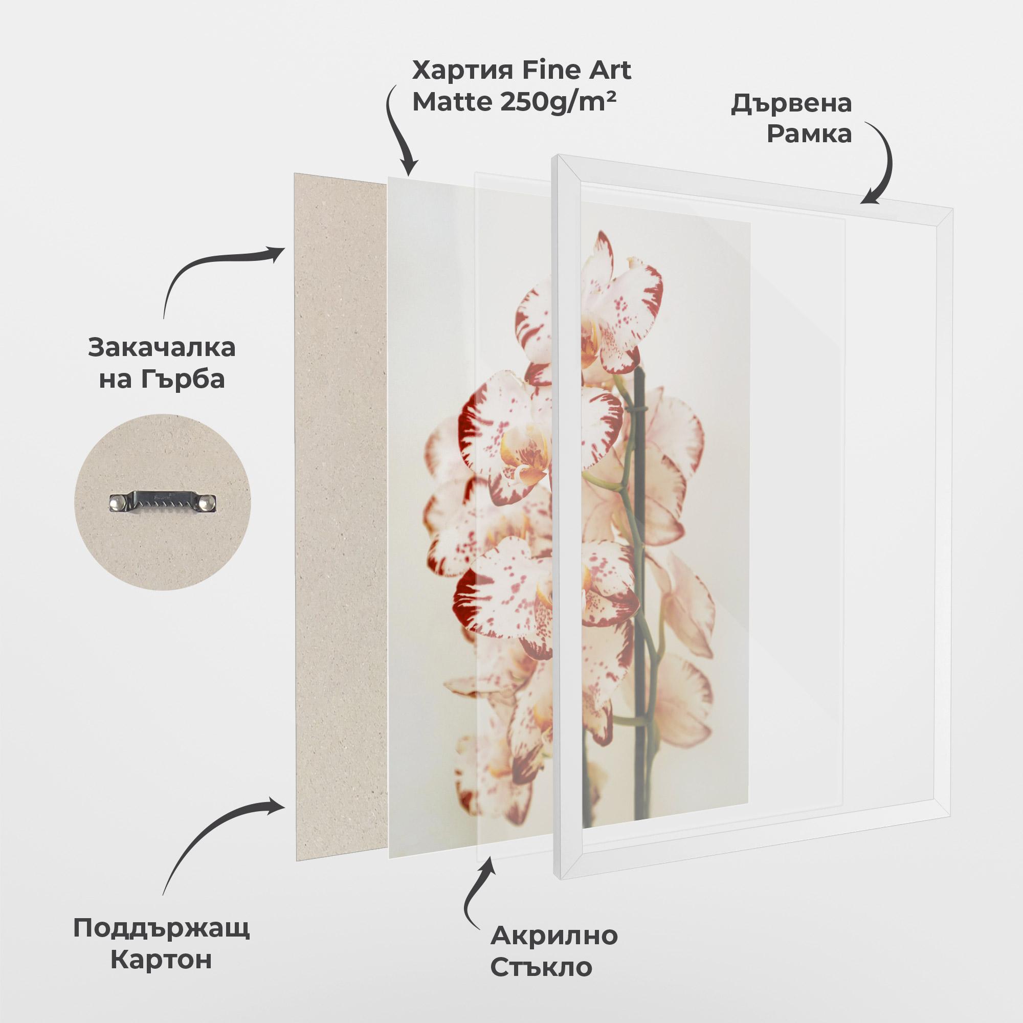 Рамкиран постер Red White Orchids mockup 1