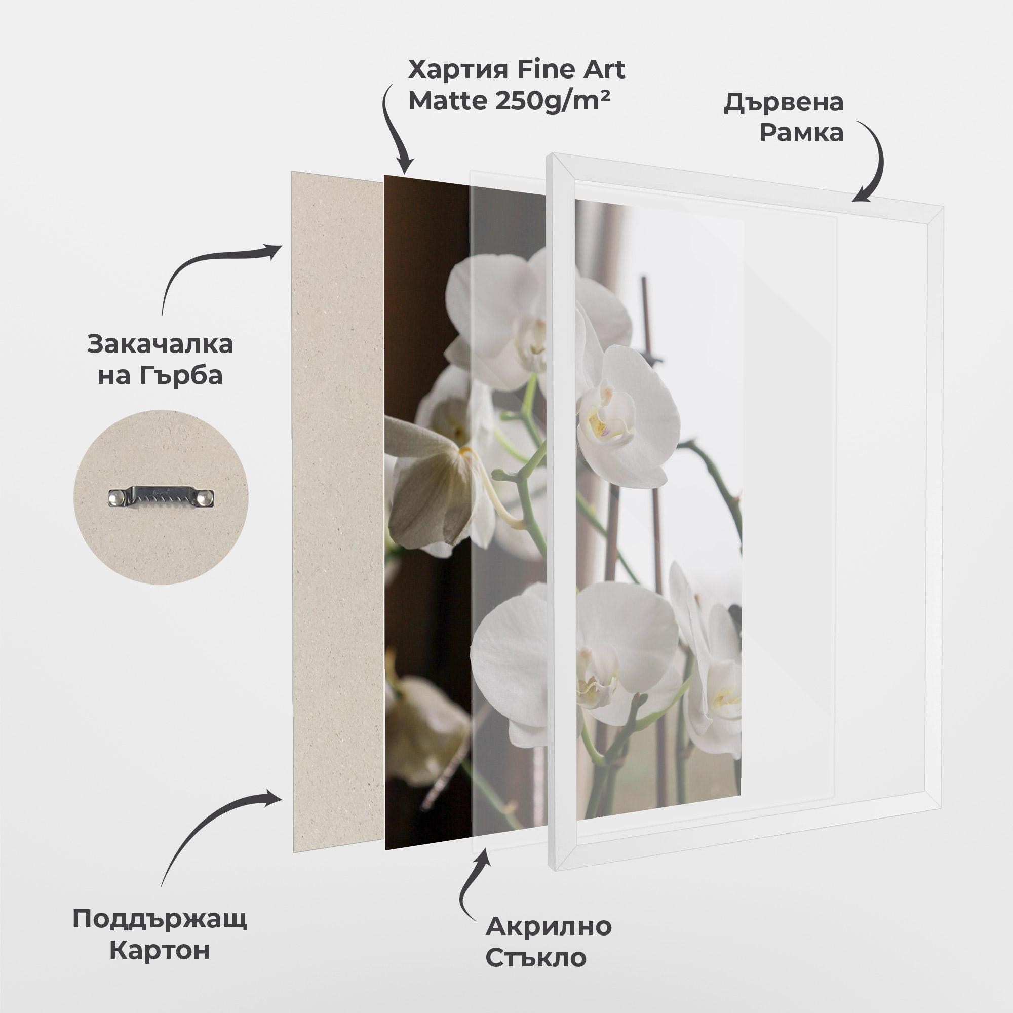 Рамкиран постер White Orchid Growing mockup 1