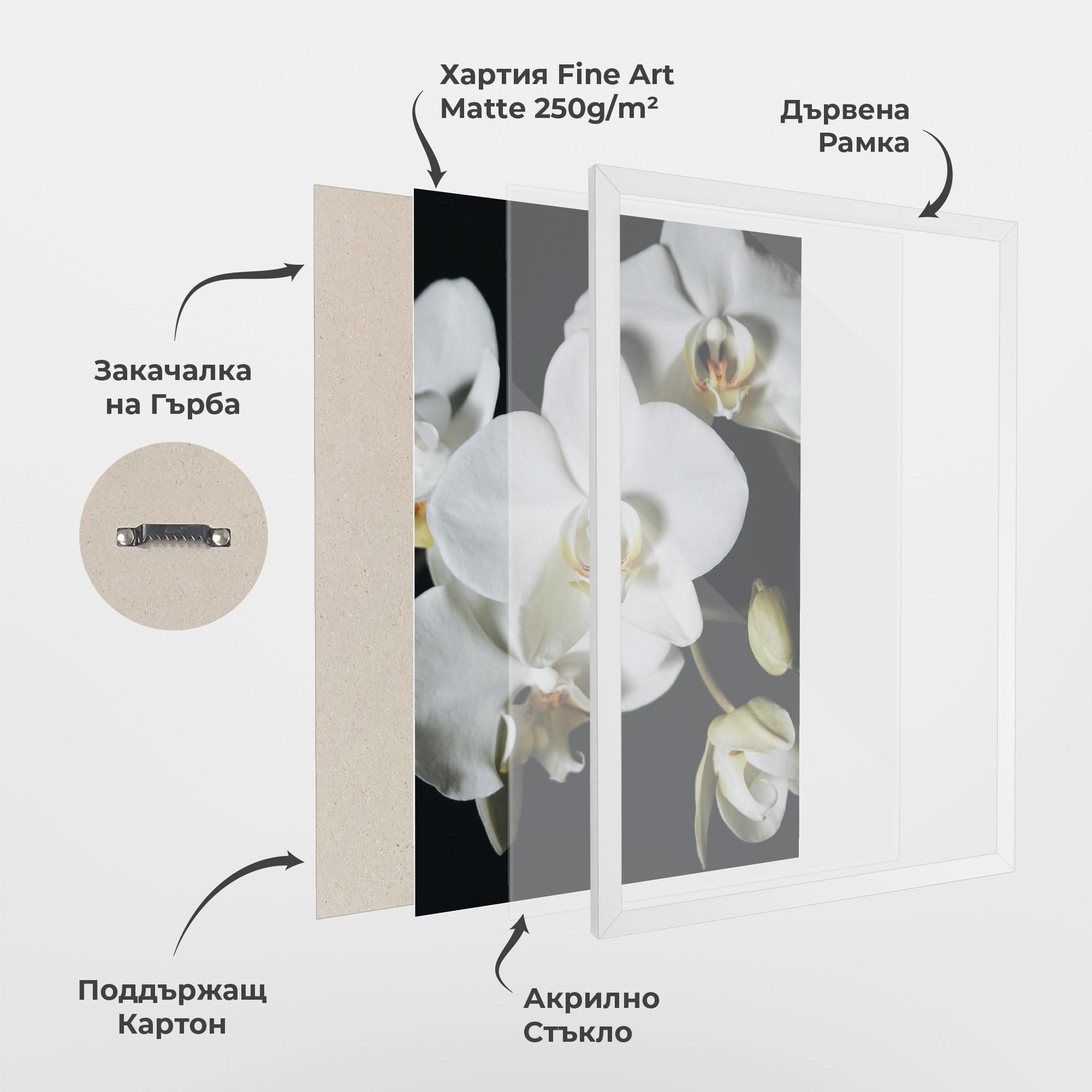 Рамкиран постер White Orchid On Black mockup 1