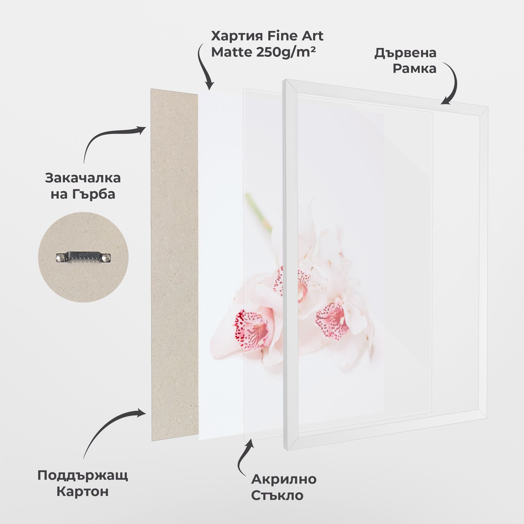 White Orchid With Pink mockup 1