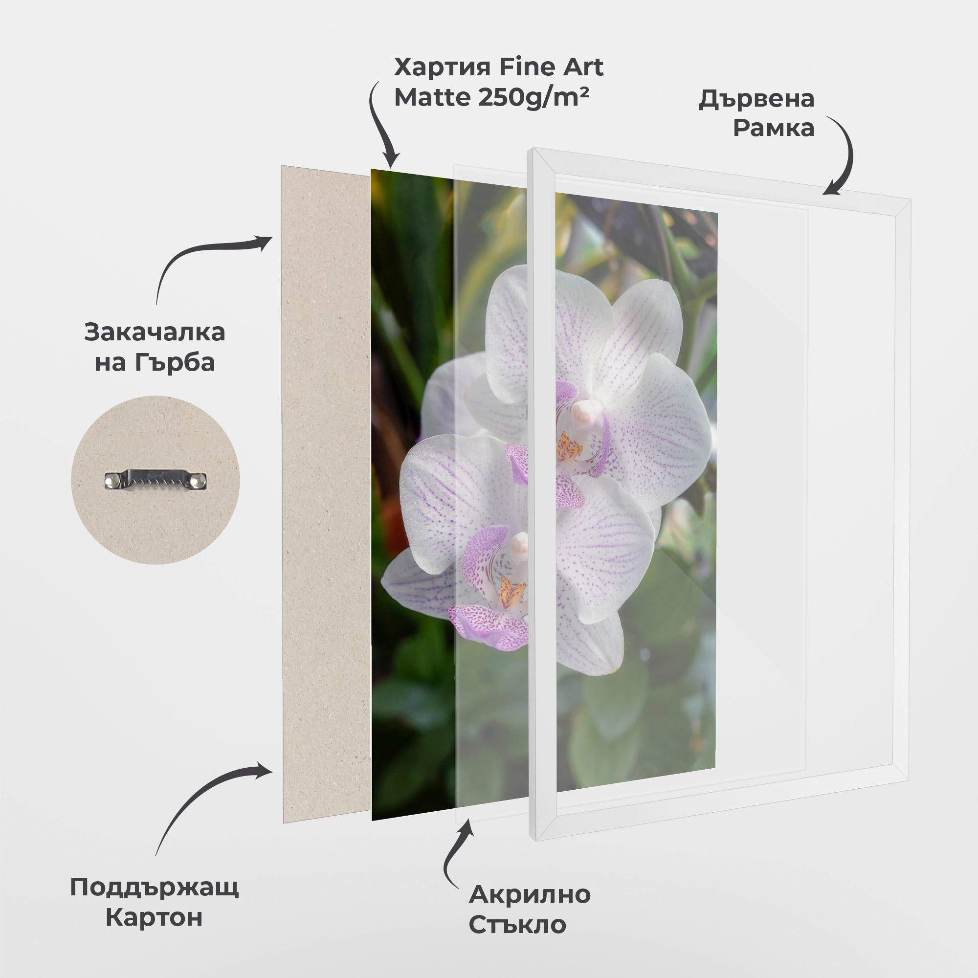 Рамкиран постер White Orchids mockup 1