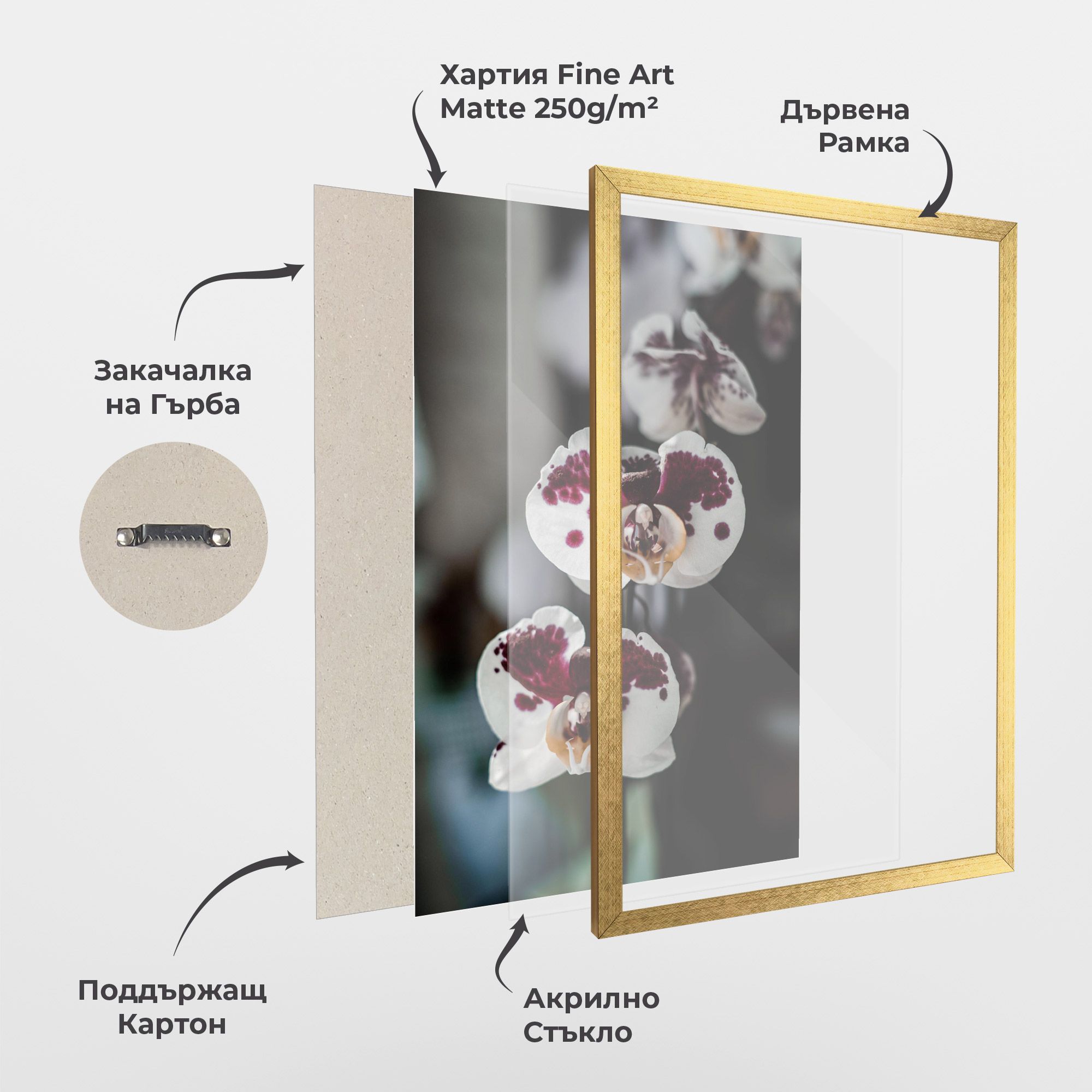 Dark Purple Orchid mockup 1