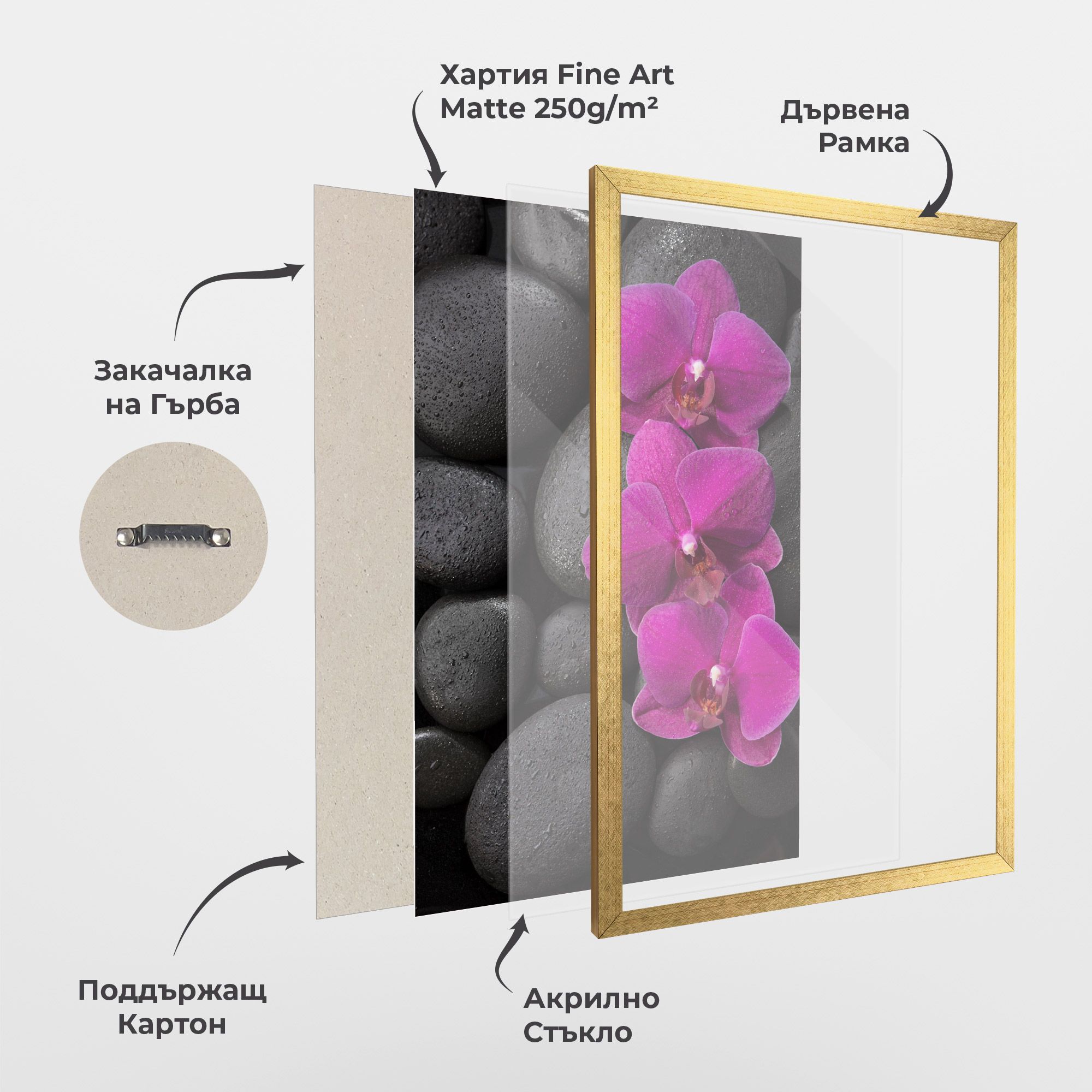 Purple Orchid On Rocks mockup 1