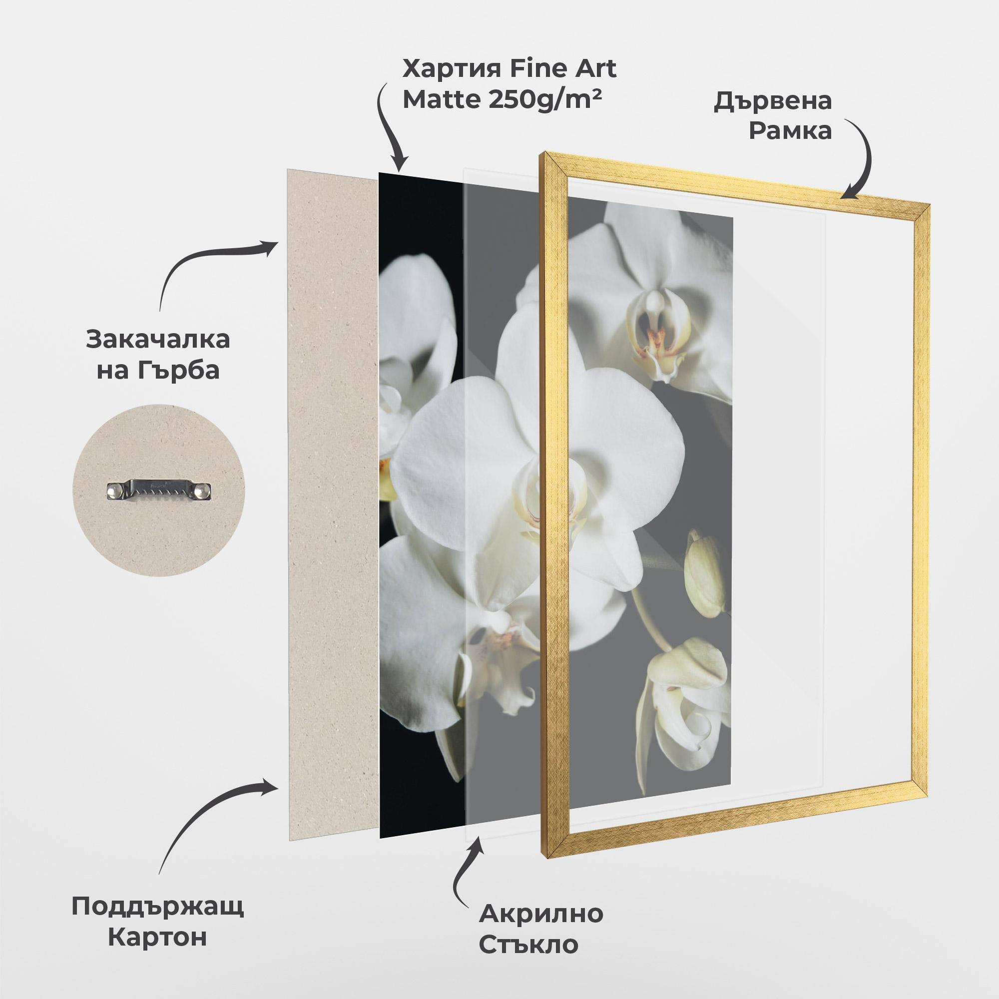 Рамкиран постер White Orchid On Black mockup 1