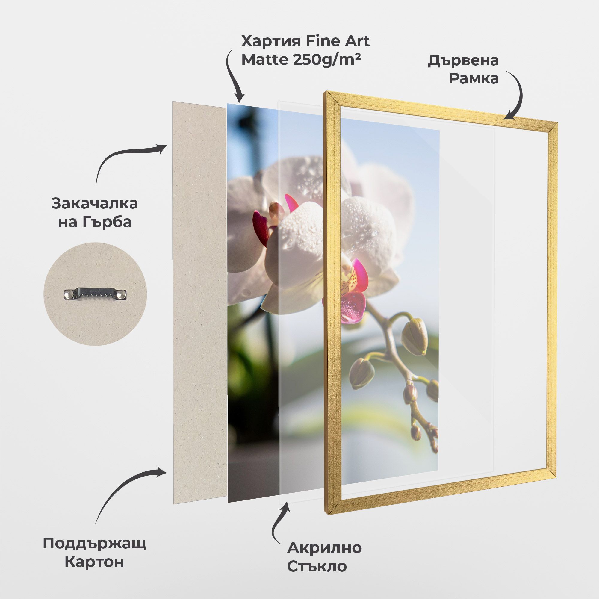 White Orchid With Water mockup 1