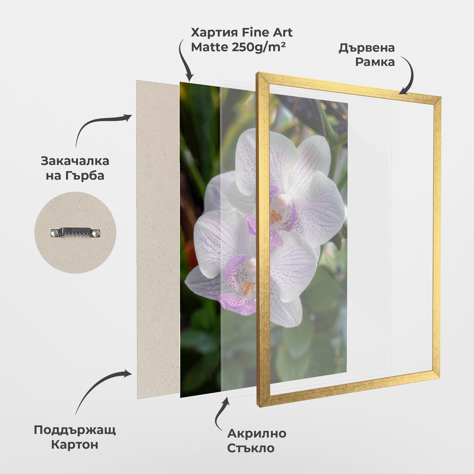 Рамкиран постер White Orchids mockup 1