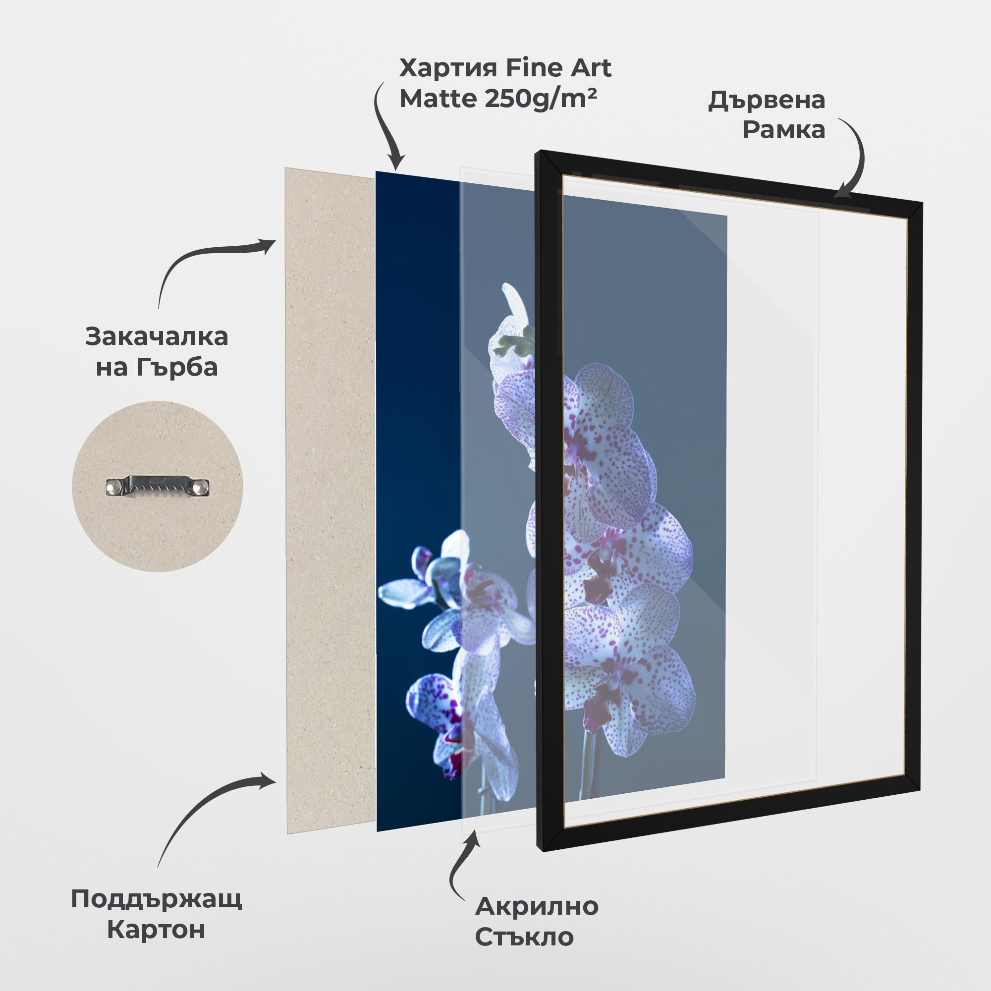 Blue Light Orchid mockup 1