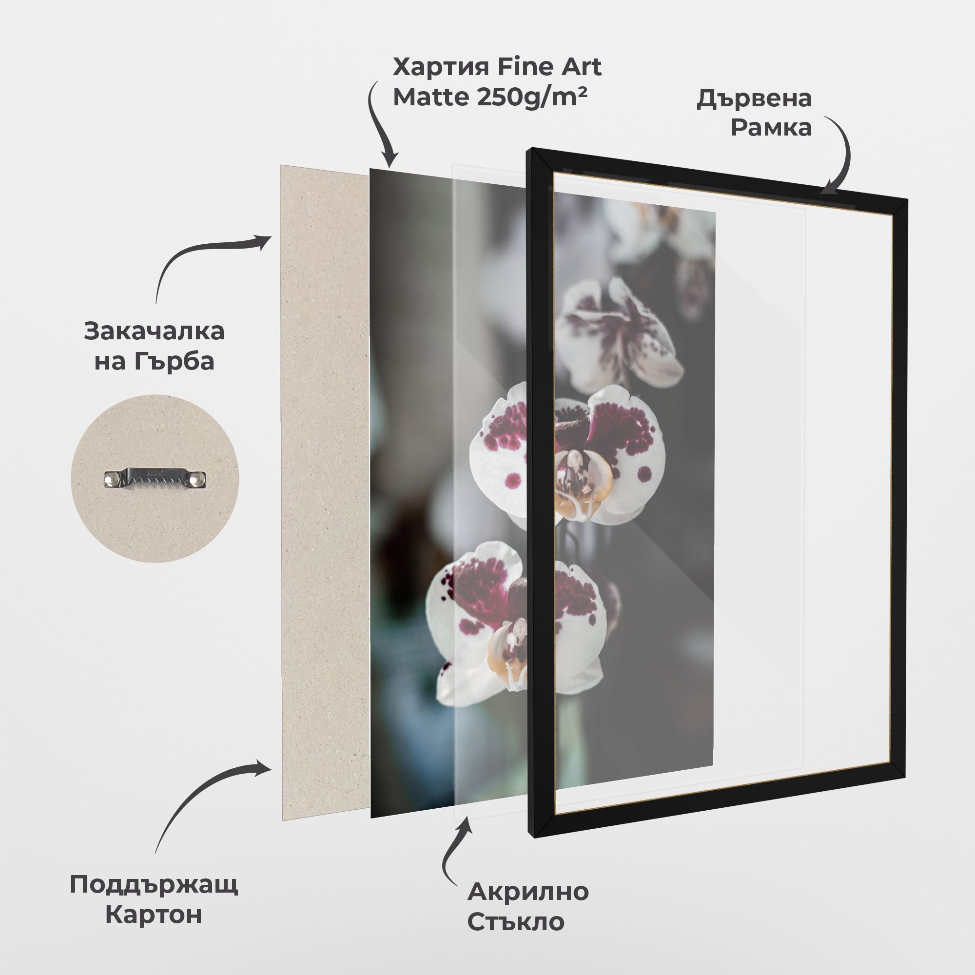 Dark Purple Orchid mockup 1