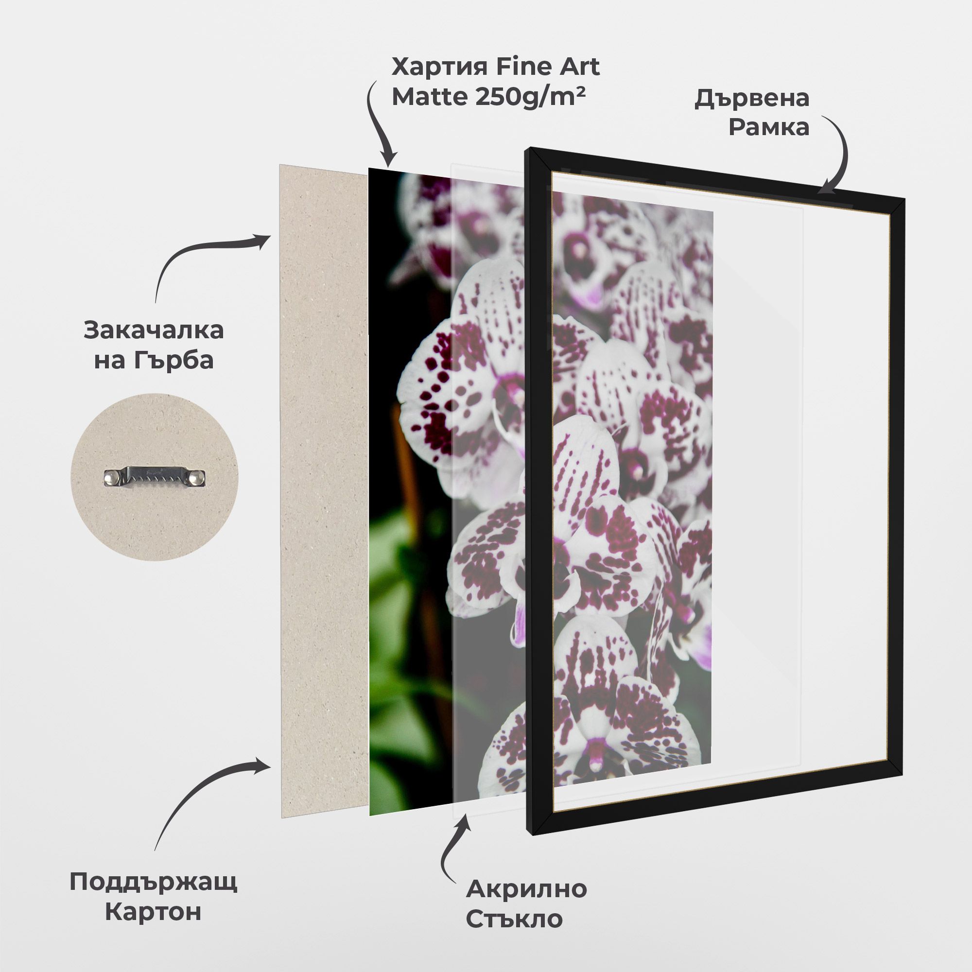 Dark Purple Orchids mockup 1