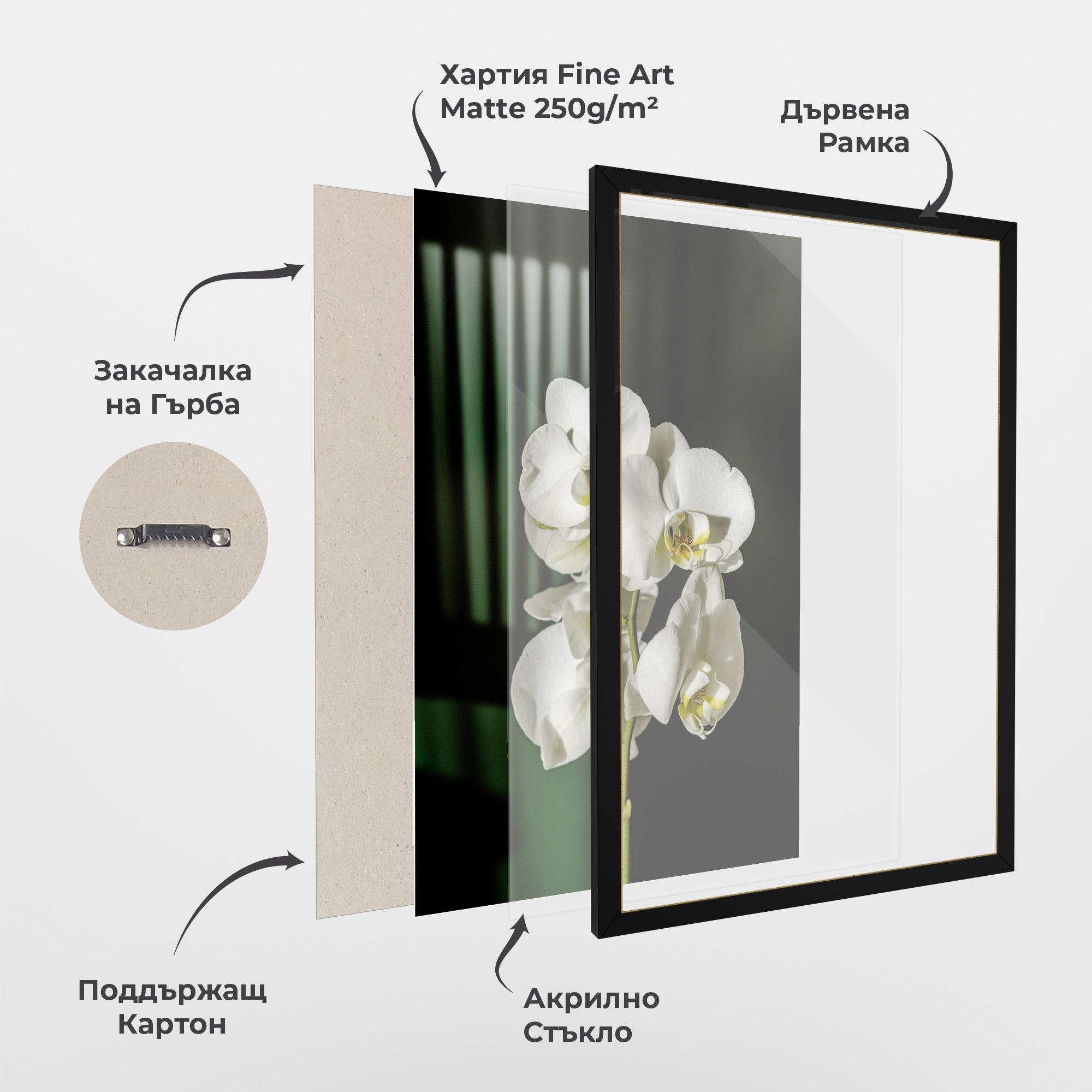 Рамкиран постер Orchid On Green mockup 1