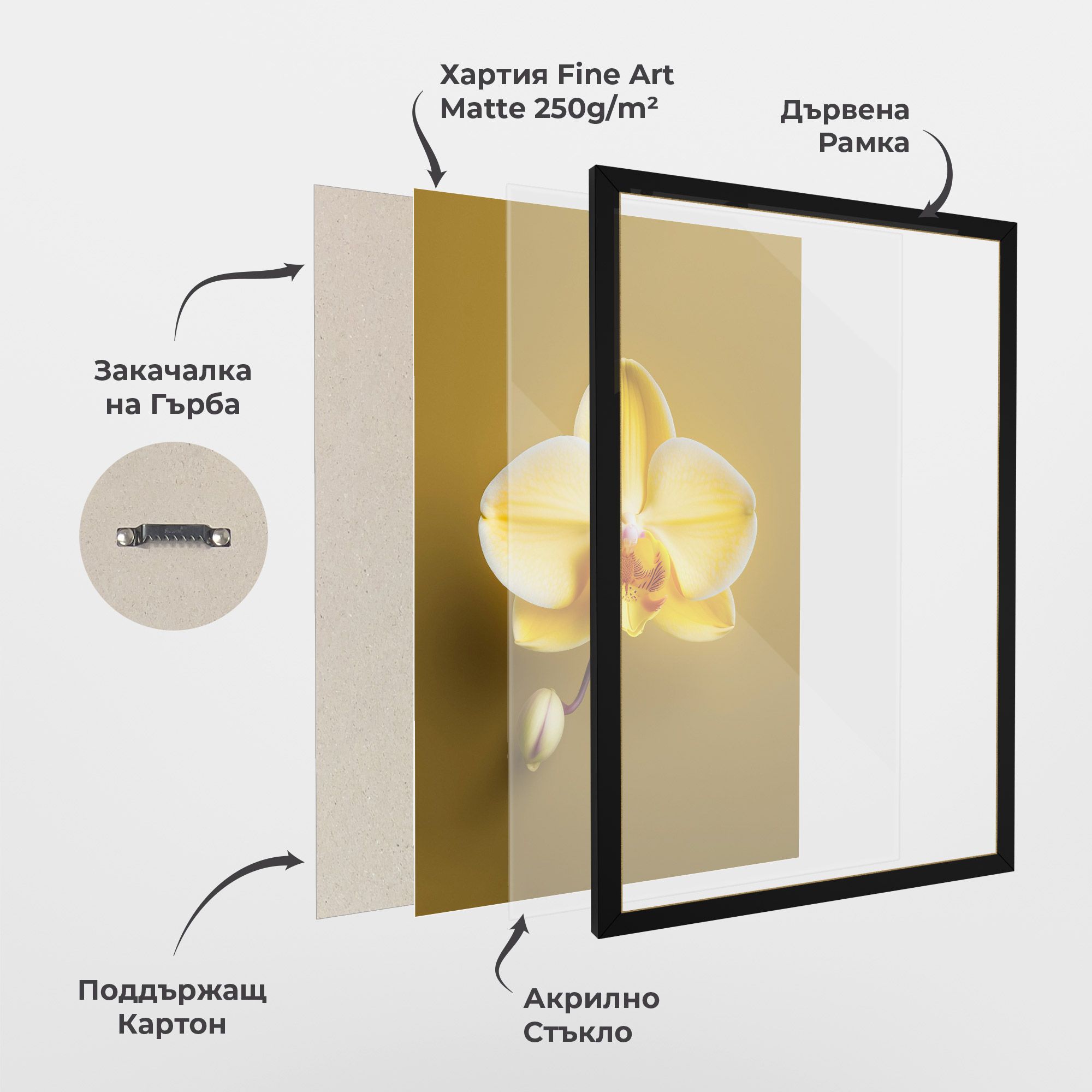 Pastel Yellow Orchid mockup 1