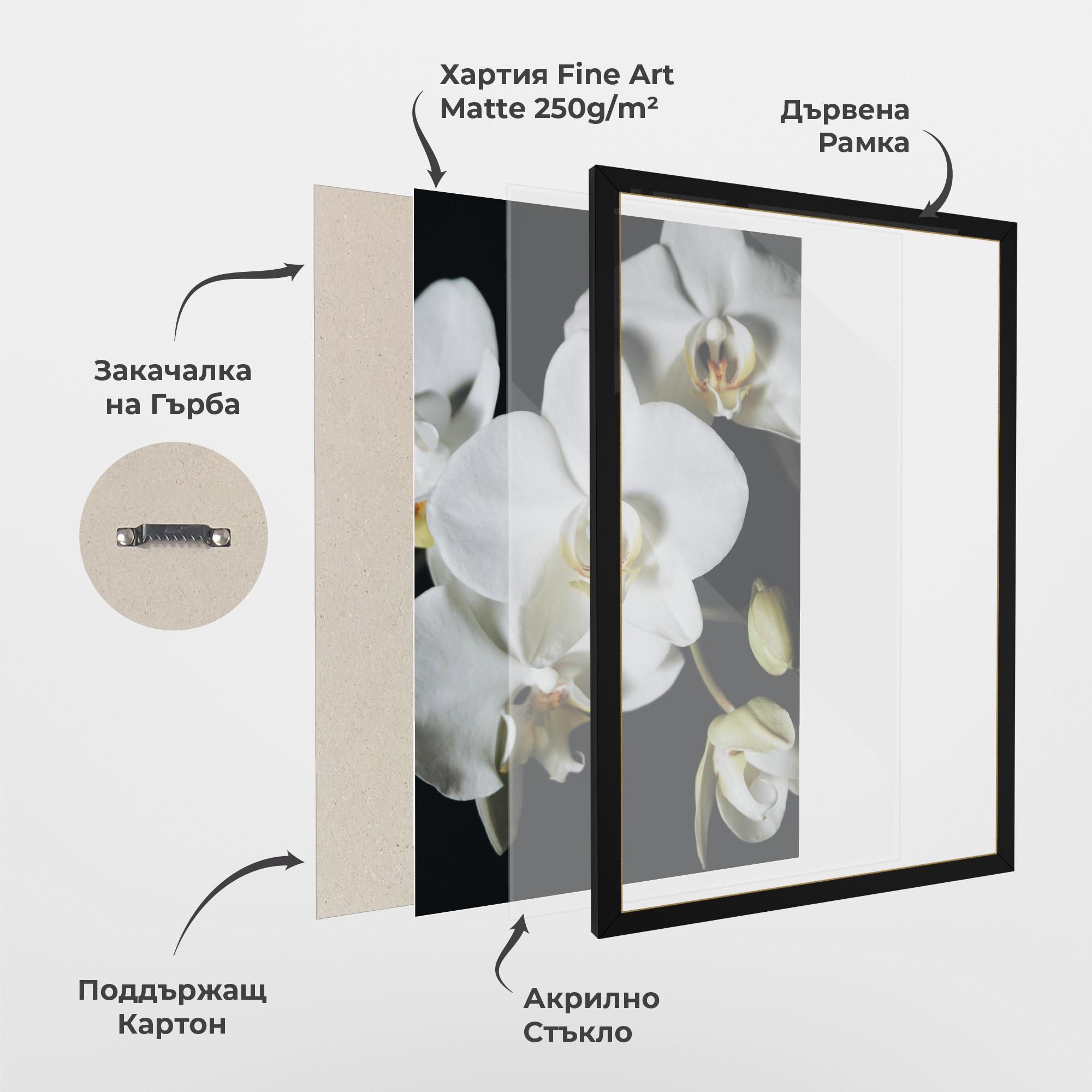 Рамкиран постер White Orchid On Black mockup 1