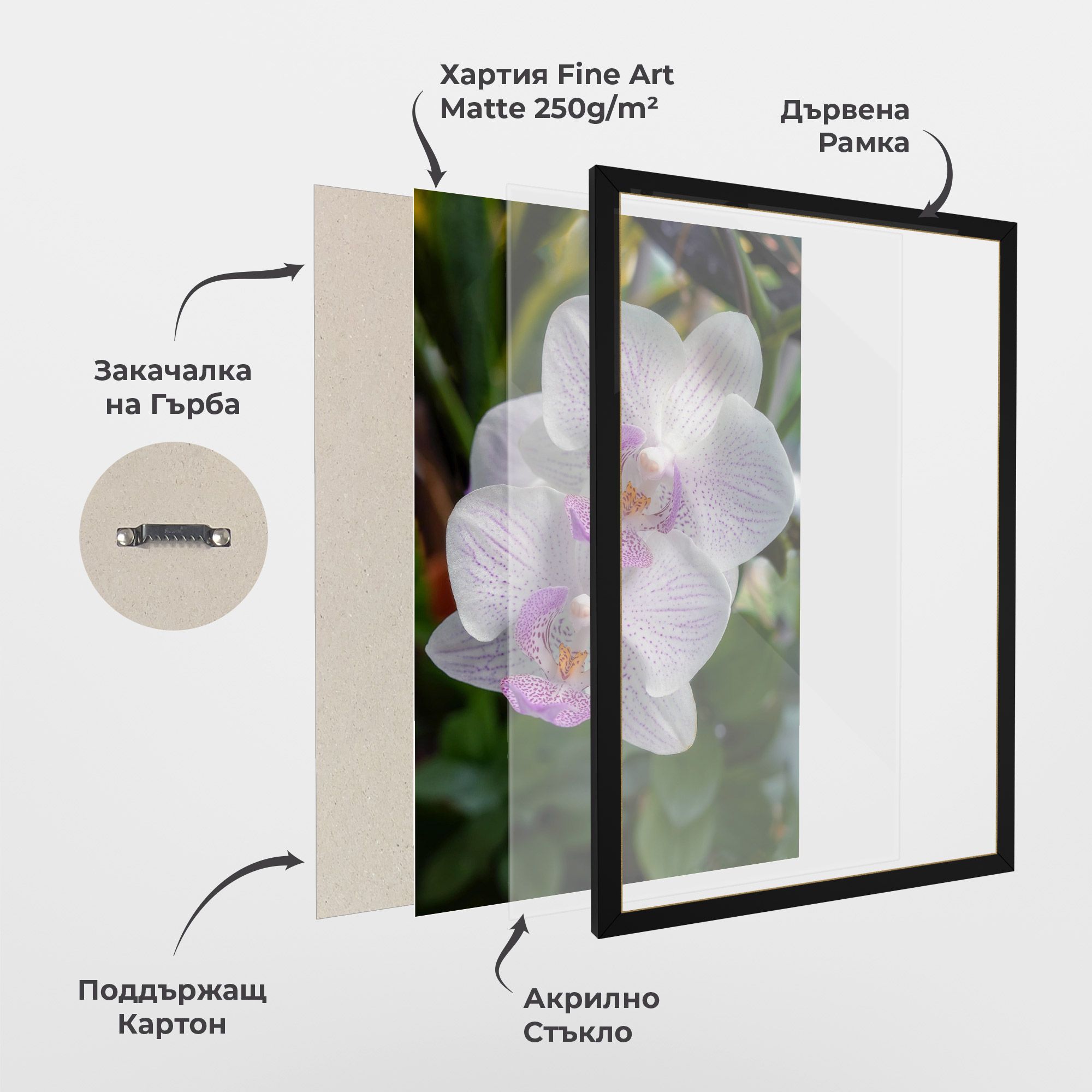 White Orchids mockup 1