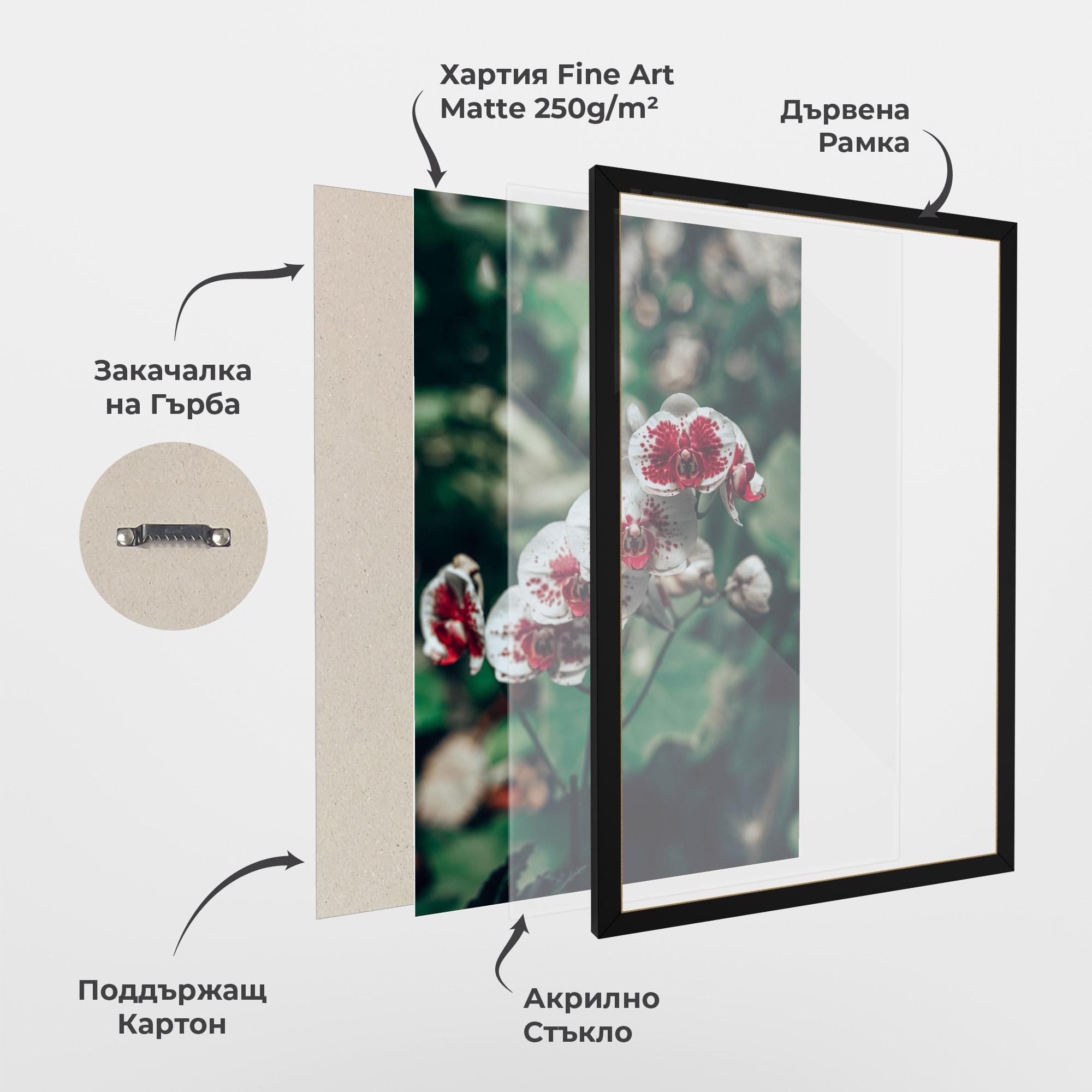 Рамкиран постер White Red Orchid mockup 1