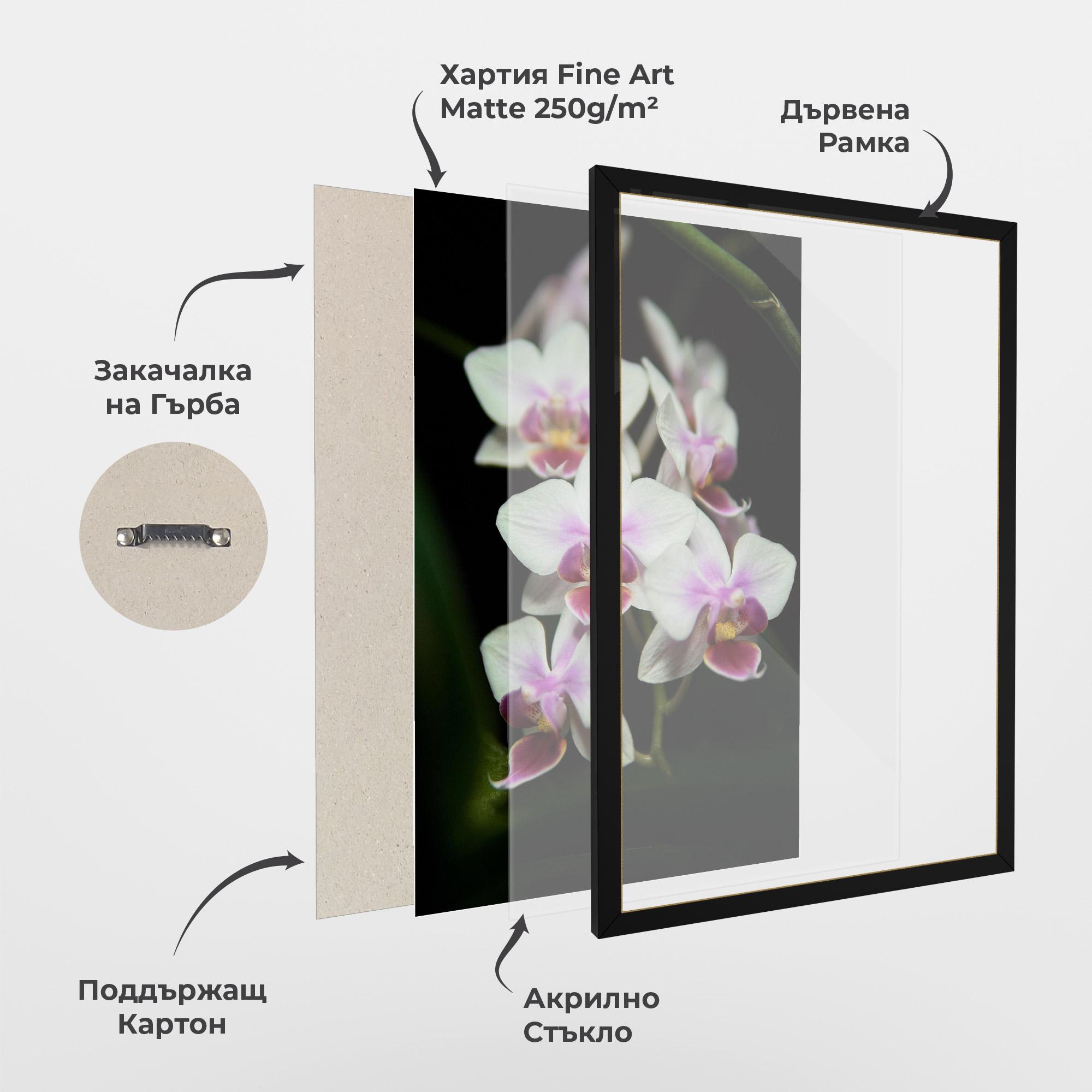 Рамкиран постер Wild White Purple Orchid mockup 1