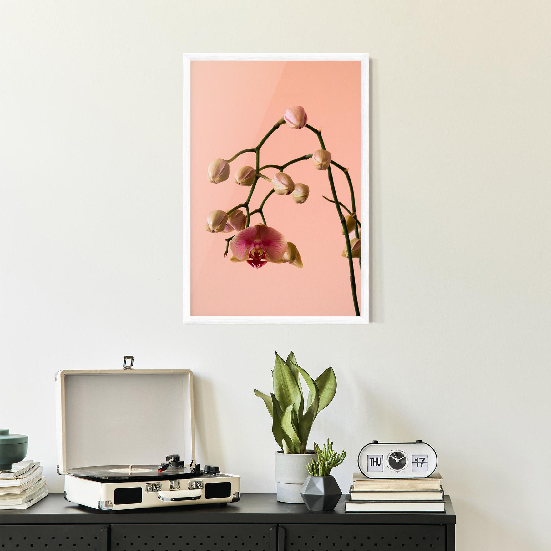 Рамкиран постер Orchids On Pink mockup 2